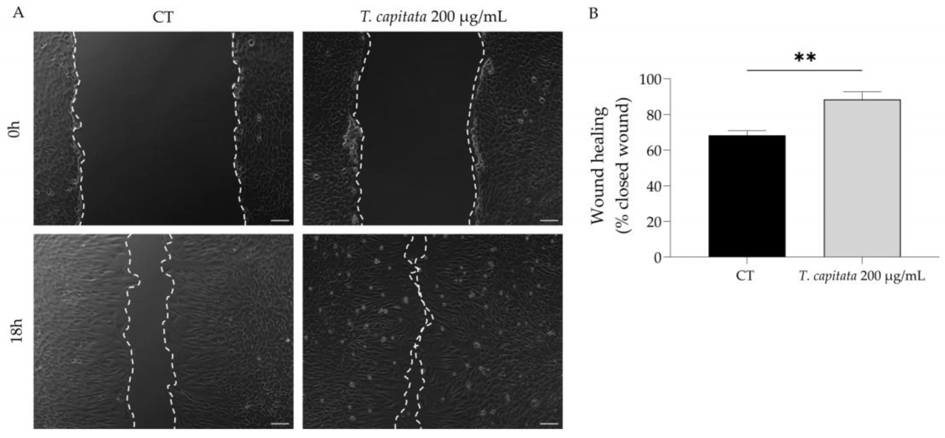Pharmaceuticals 16 01202 g004