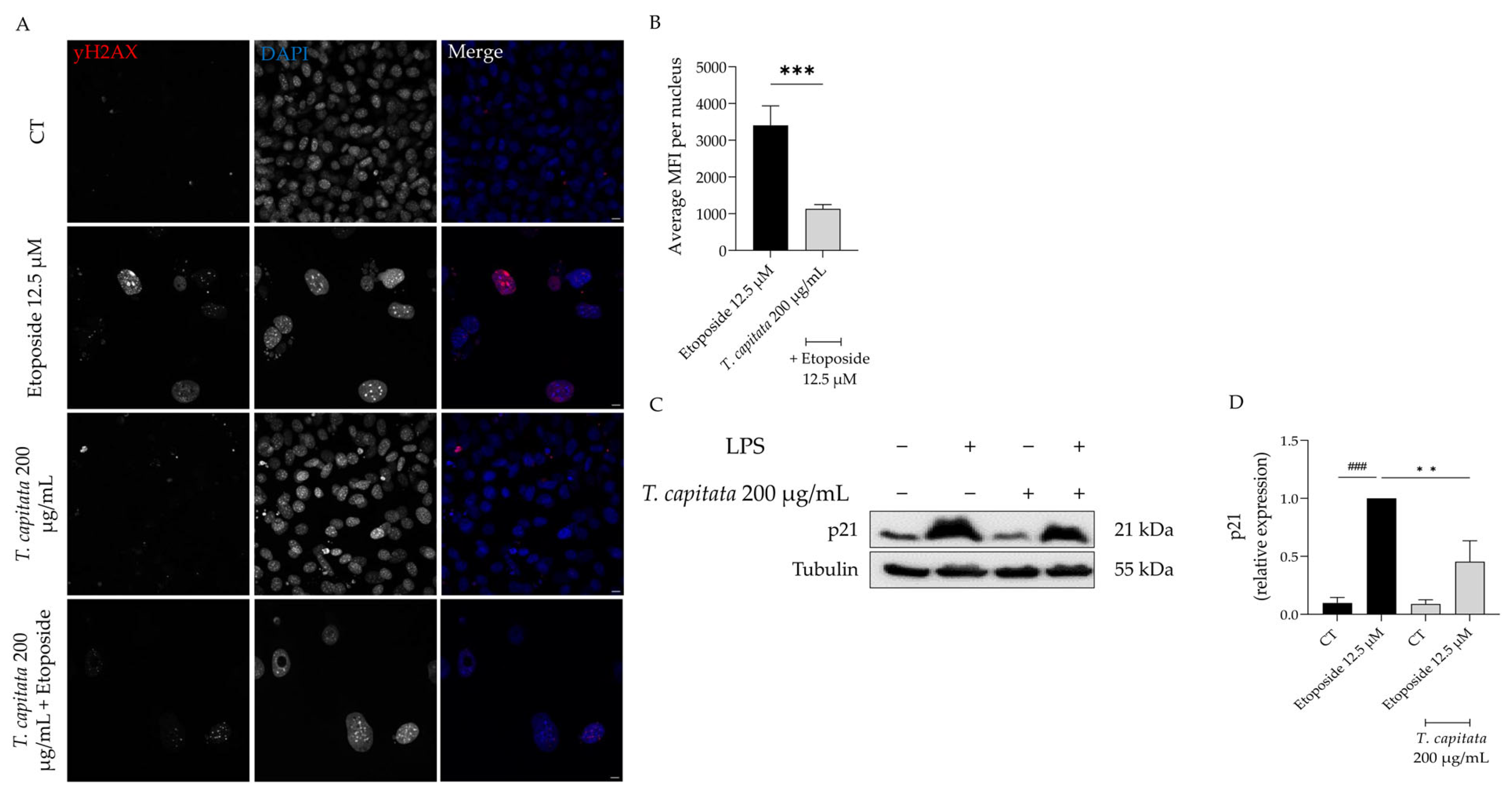Pharmaceuticals 16 01202 g007