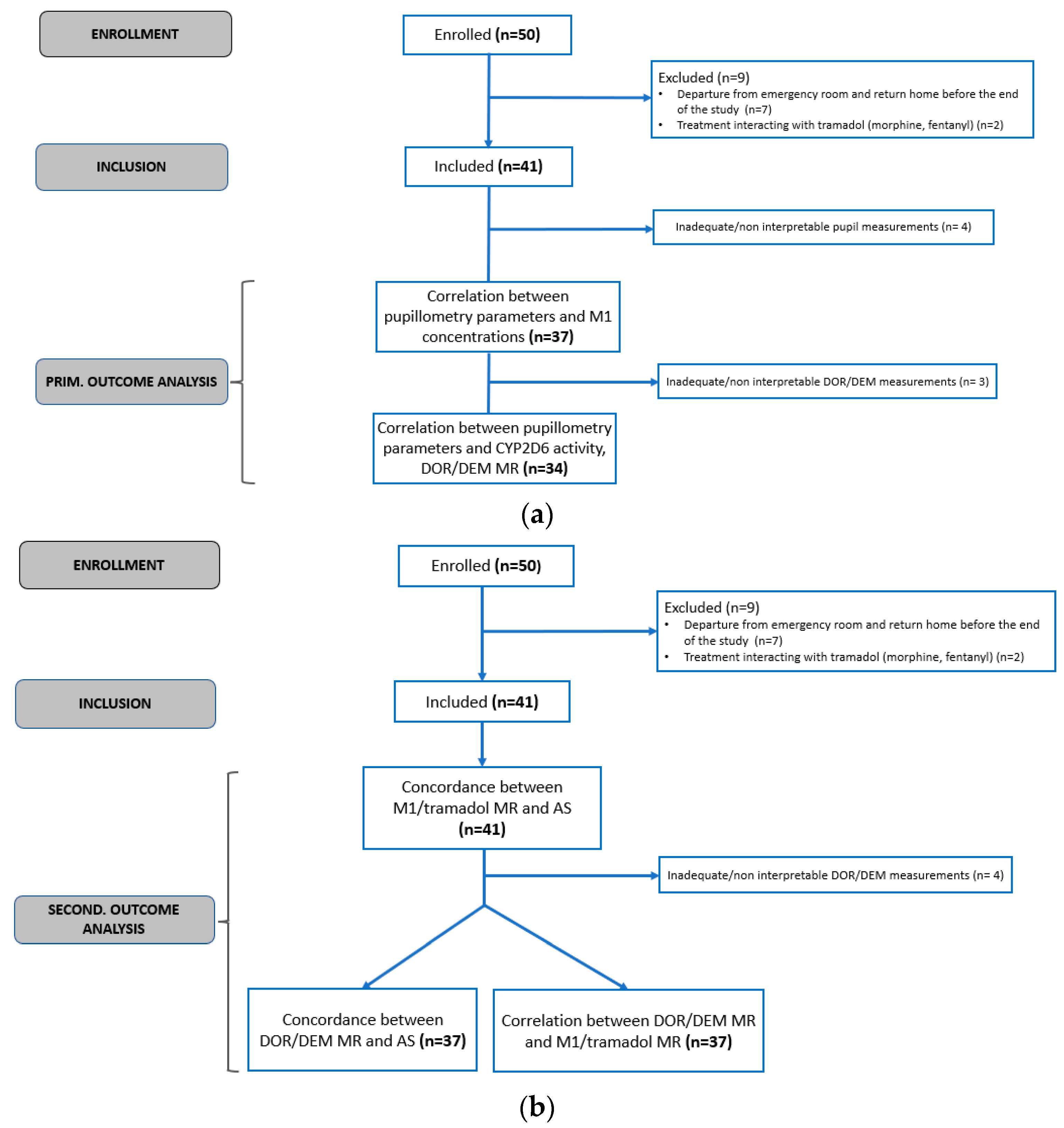 Pharmaceuticals 16 01227 g001