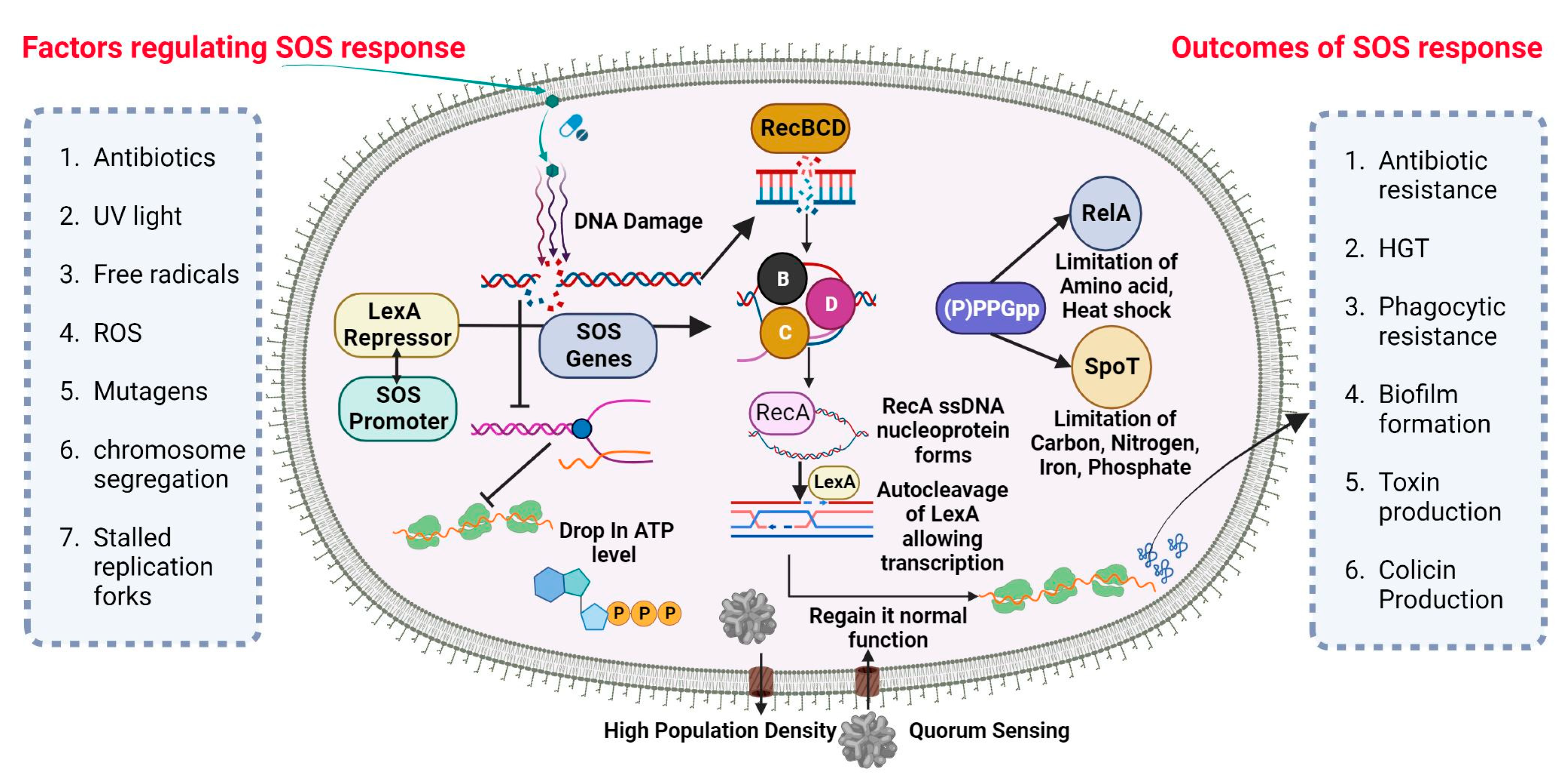 Pharmaceuticals 16 01230 g001 Pharmaceuticals 16 01230 g001