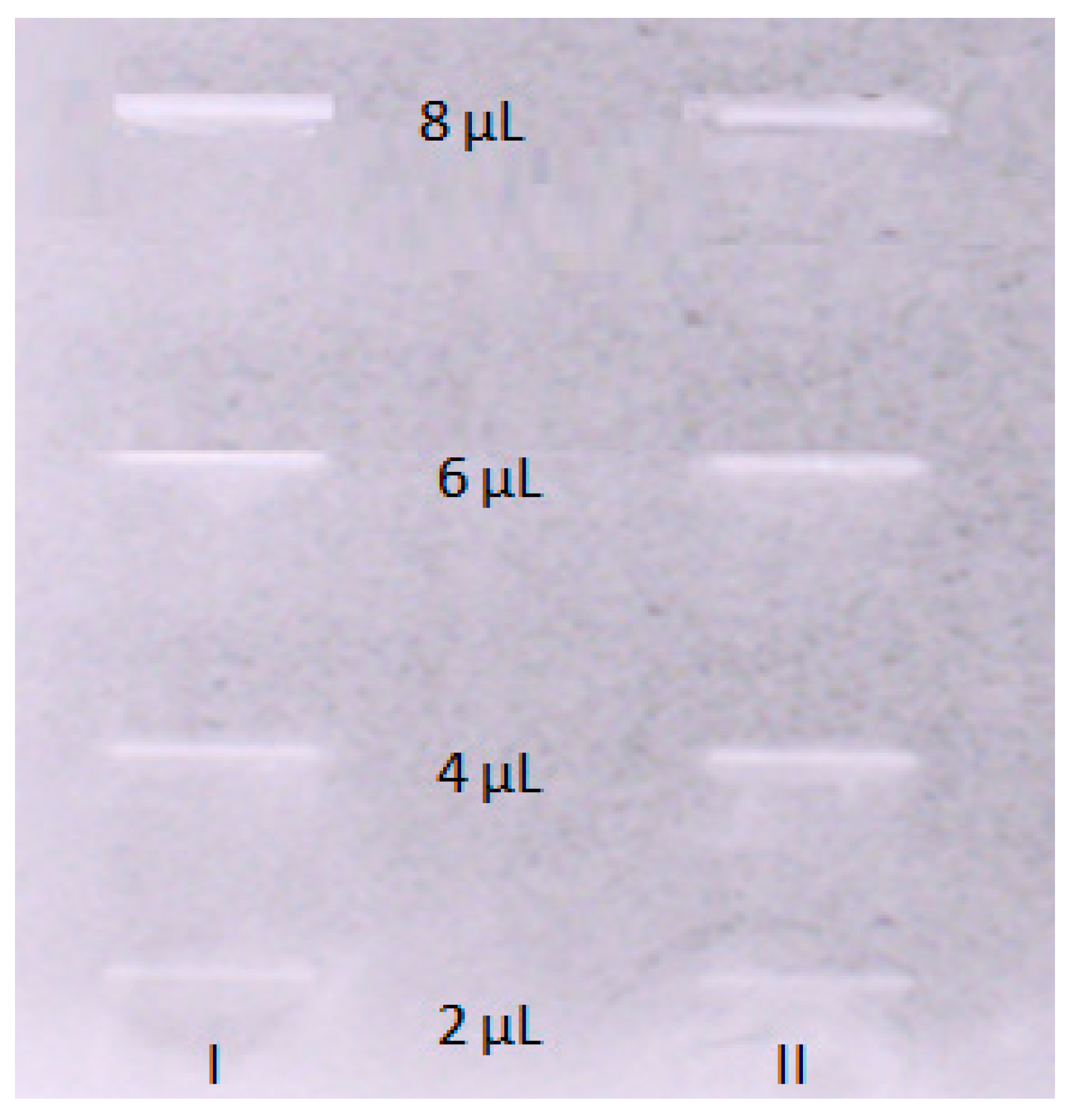 Pharmaceuticals 16 01234 g003