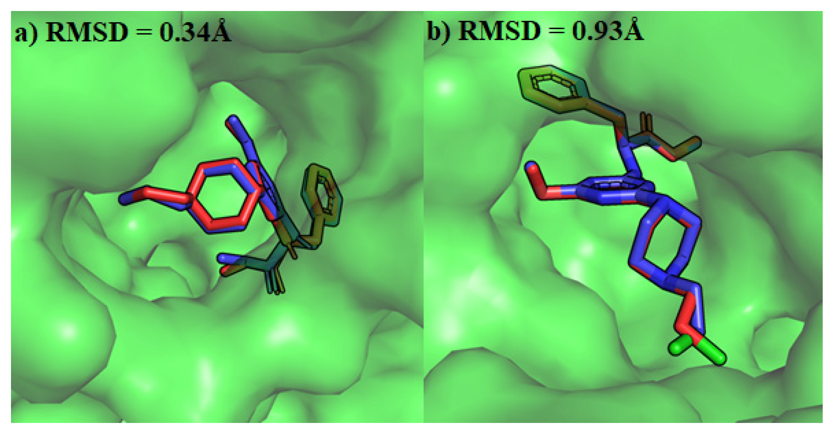 Pharmaceuticals 16 01248 g003
