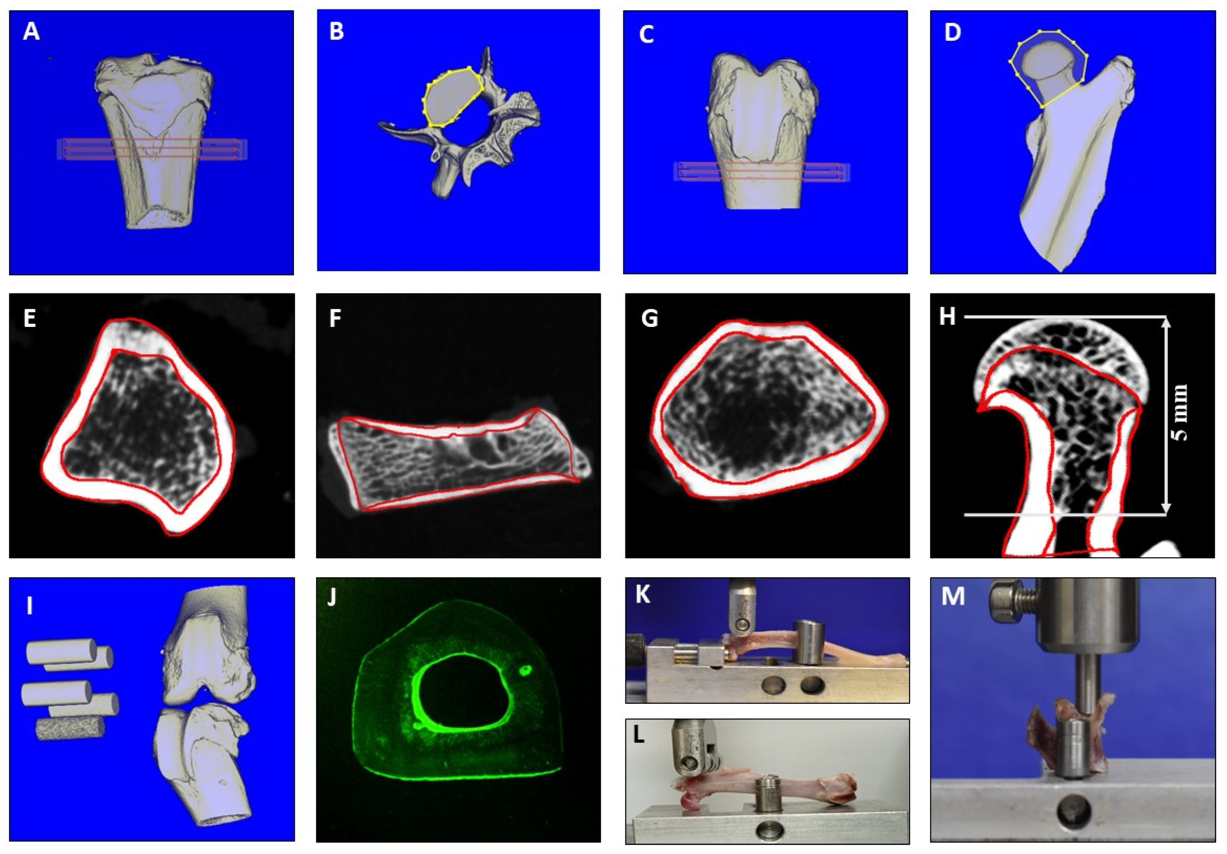 Pharmaceuticals 16 01249 g003