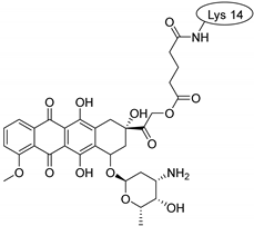 Pharmaceuticals 16 01251 i010