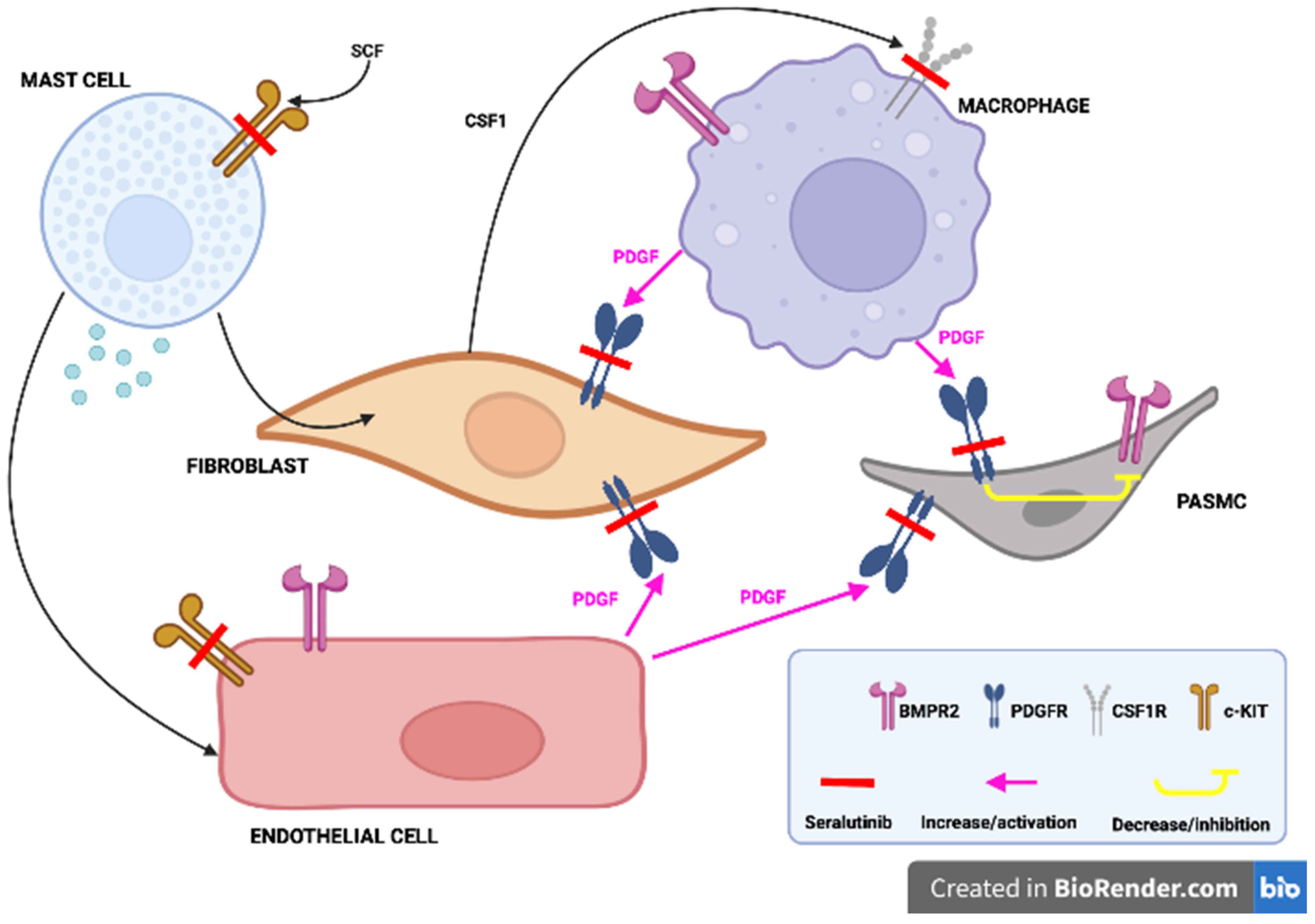 Pharmaceuticals 16 01252 g003