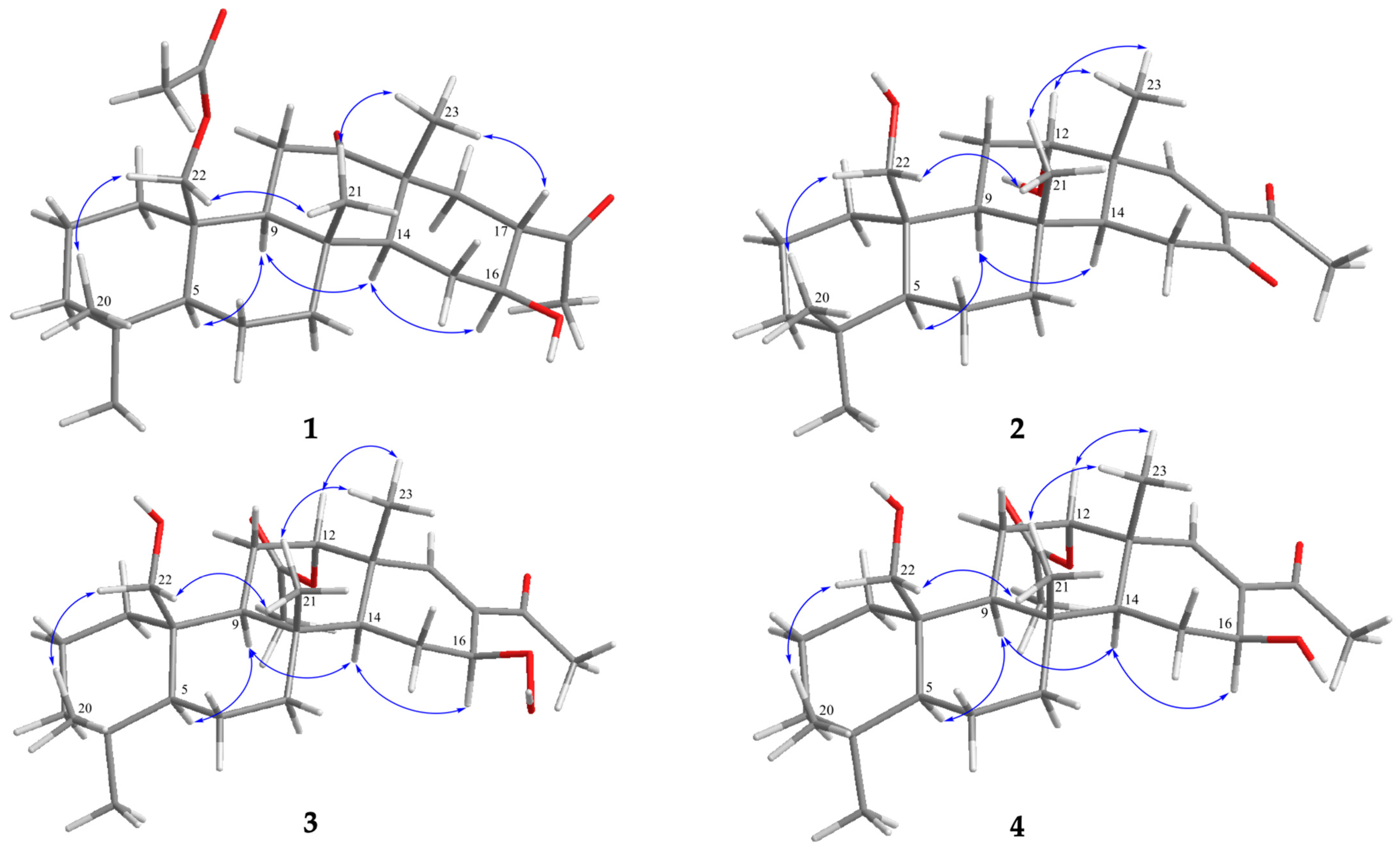 Pharmaceuticals 16 01258 g003