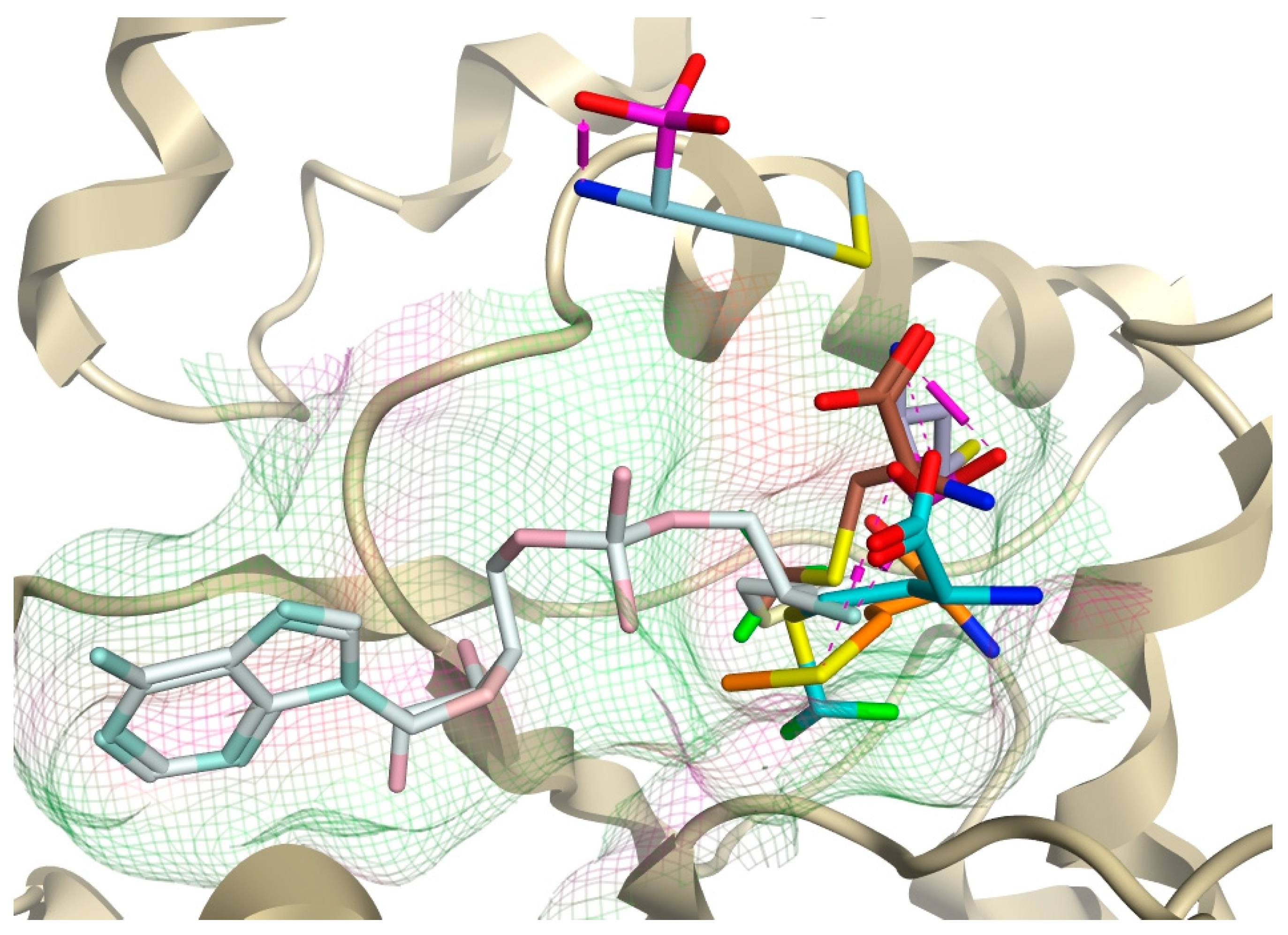 Pharmaceuticals 16 01263 g011 Pharmaceuticals 16 01263 g011