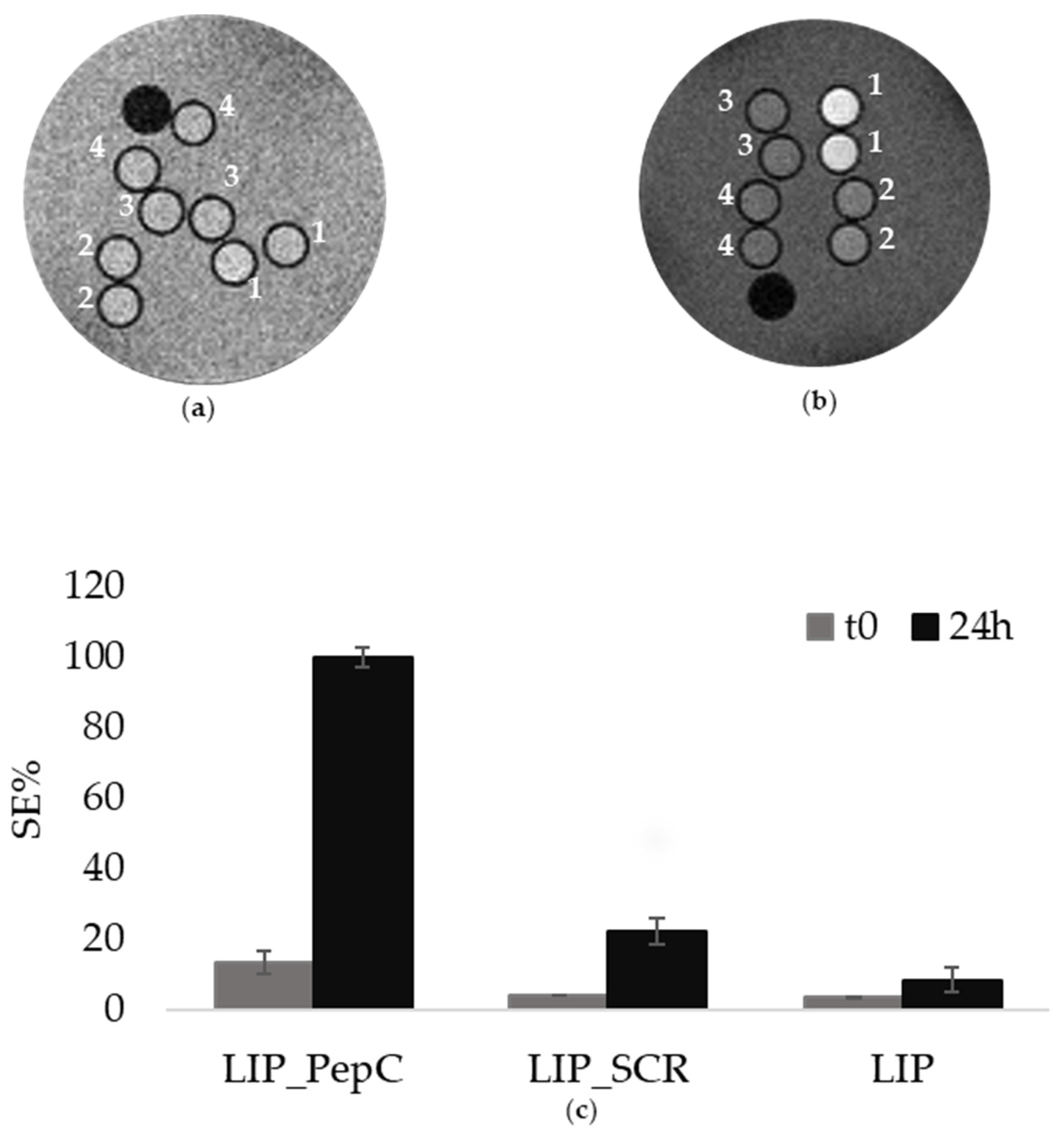 Pharmaceuticals 16 01301 g002
