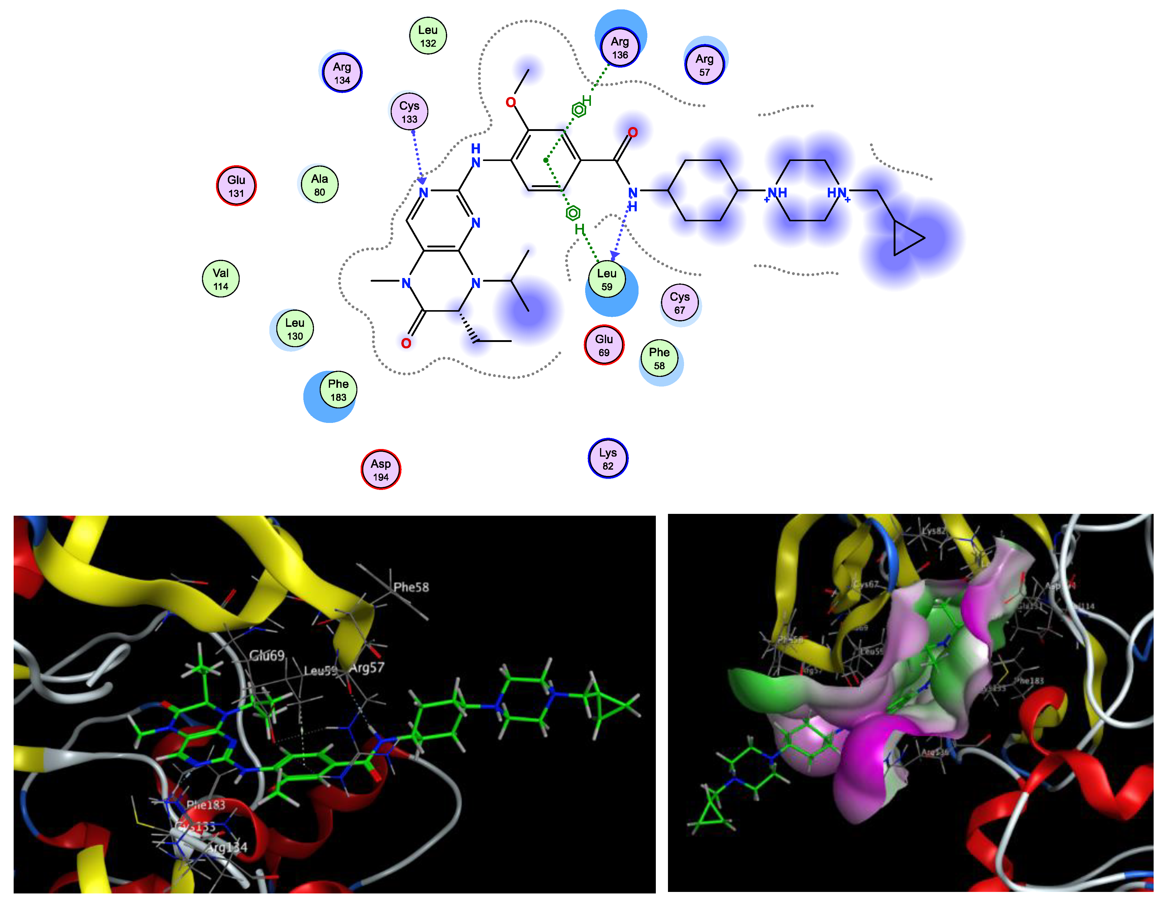 Pharmaceuticals 16 01303 g008