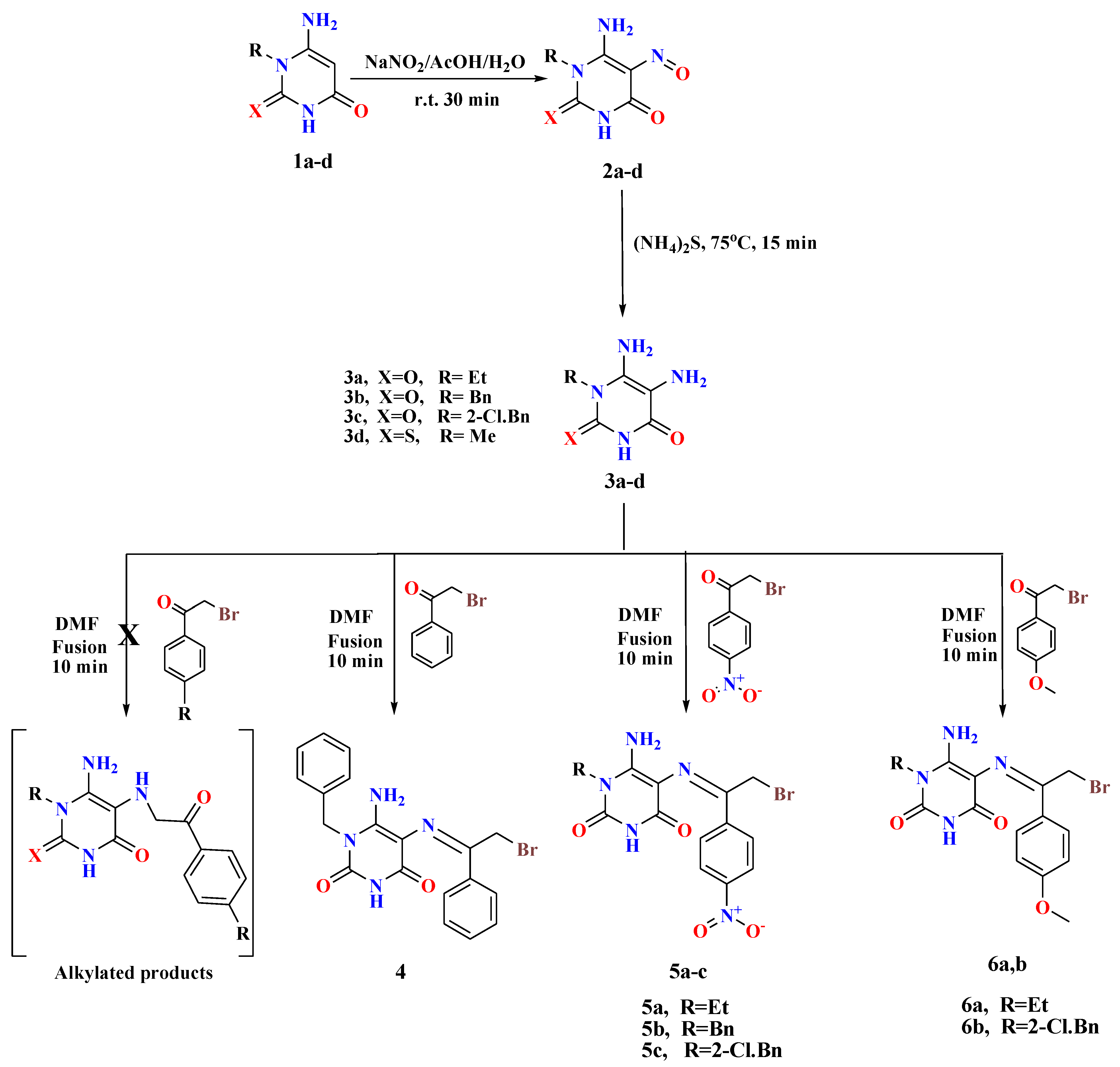 Pharmaceuticals 16 01303 sch001