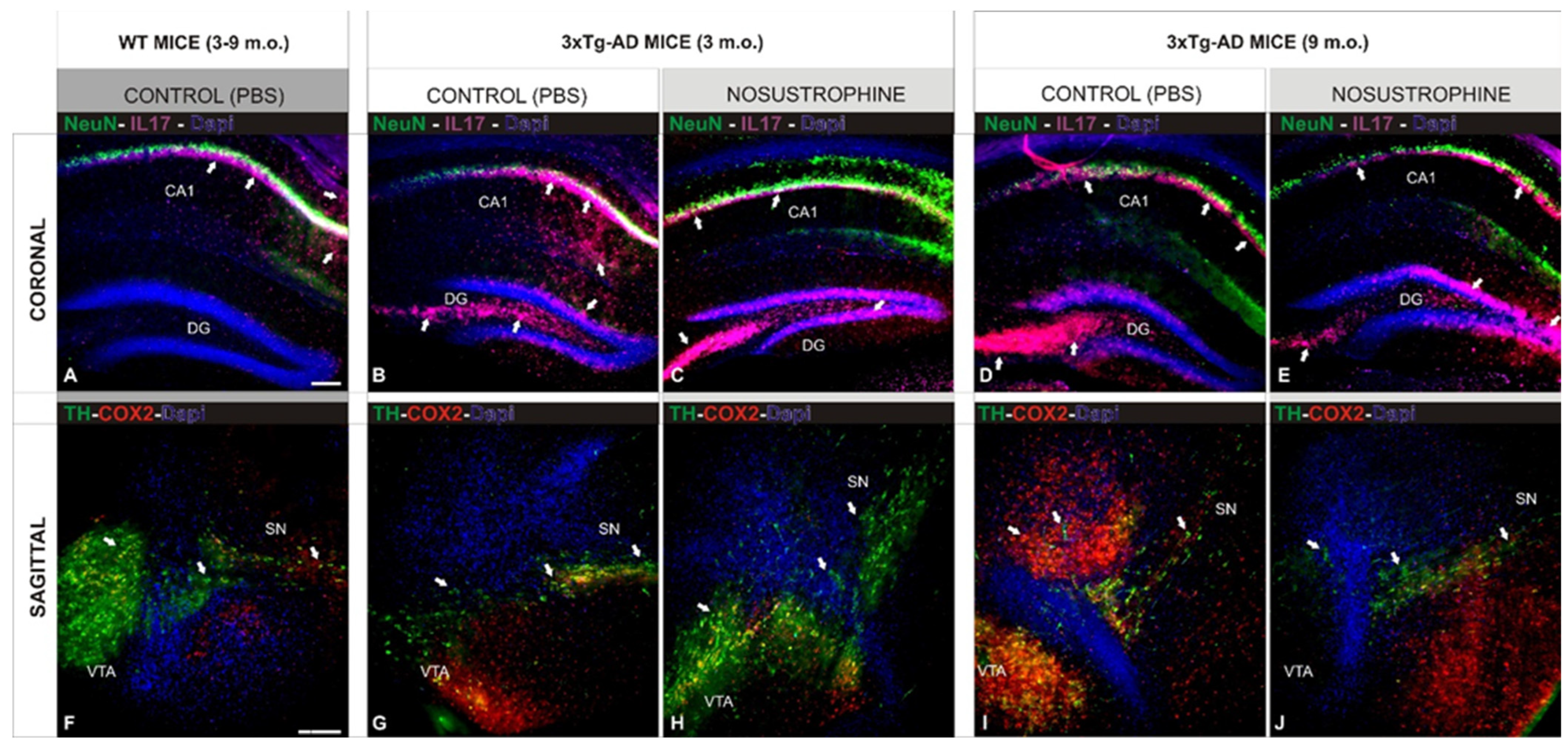 Pharmaceuticals 16 01306 g006