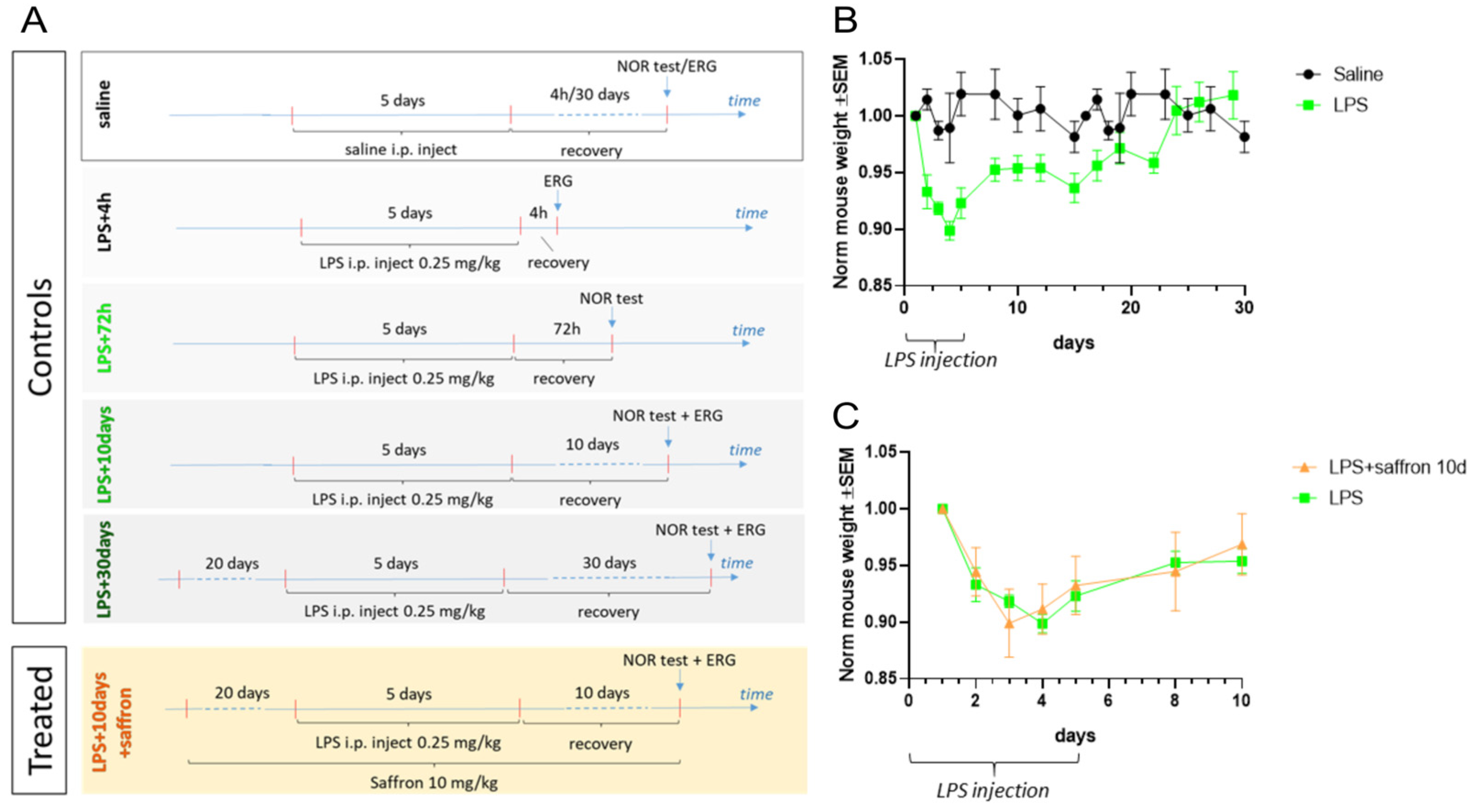 Pharmaceuticals 16 01307 g001