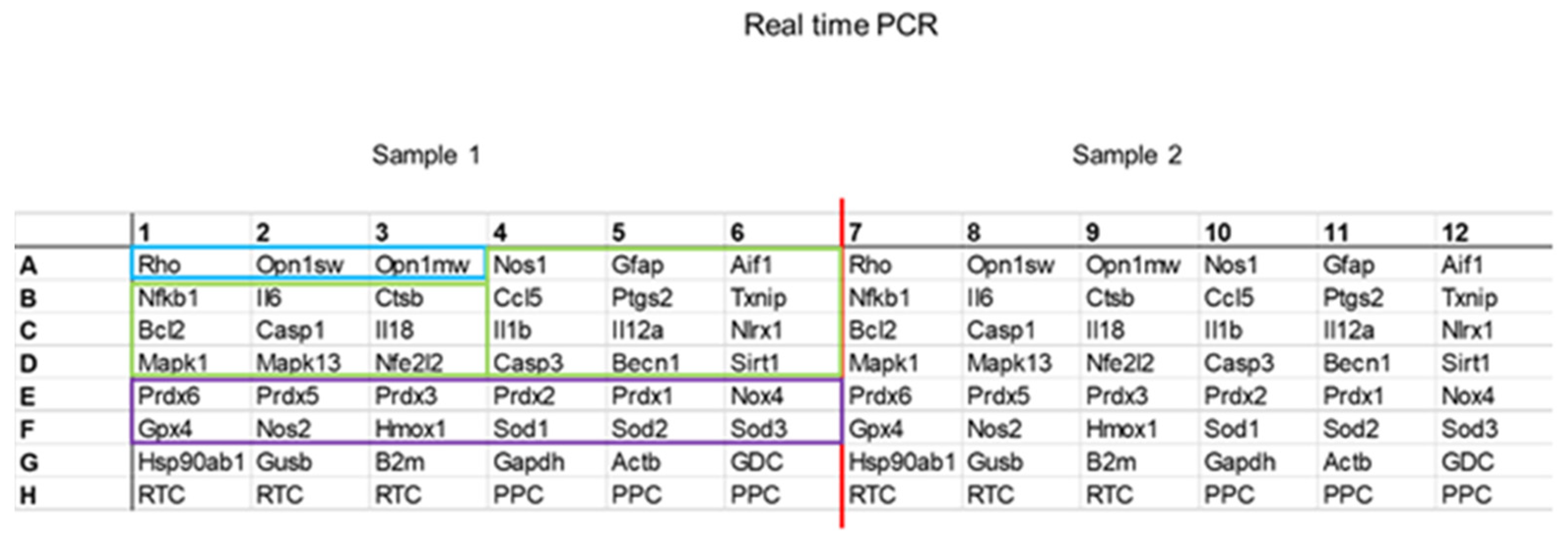 Pharmaceuticals 16 01307 sch001