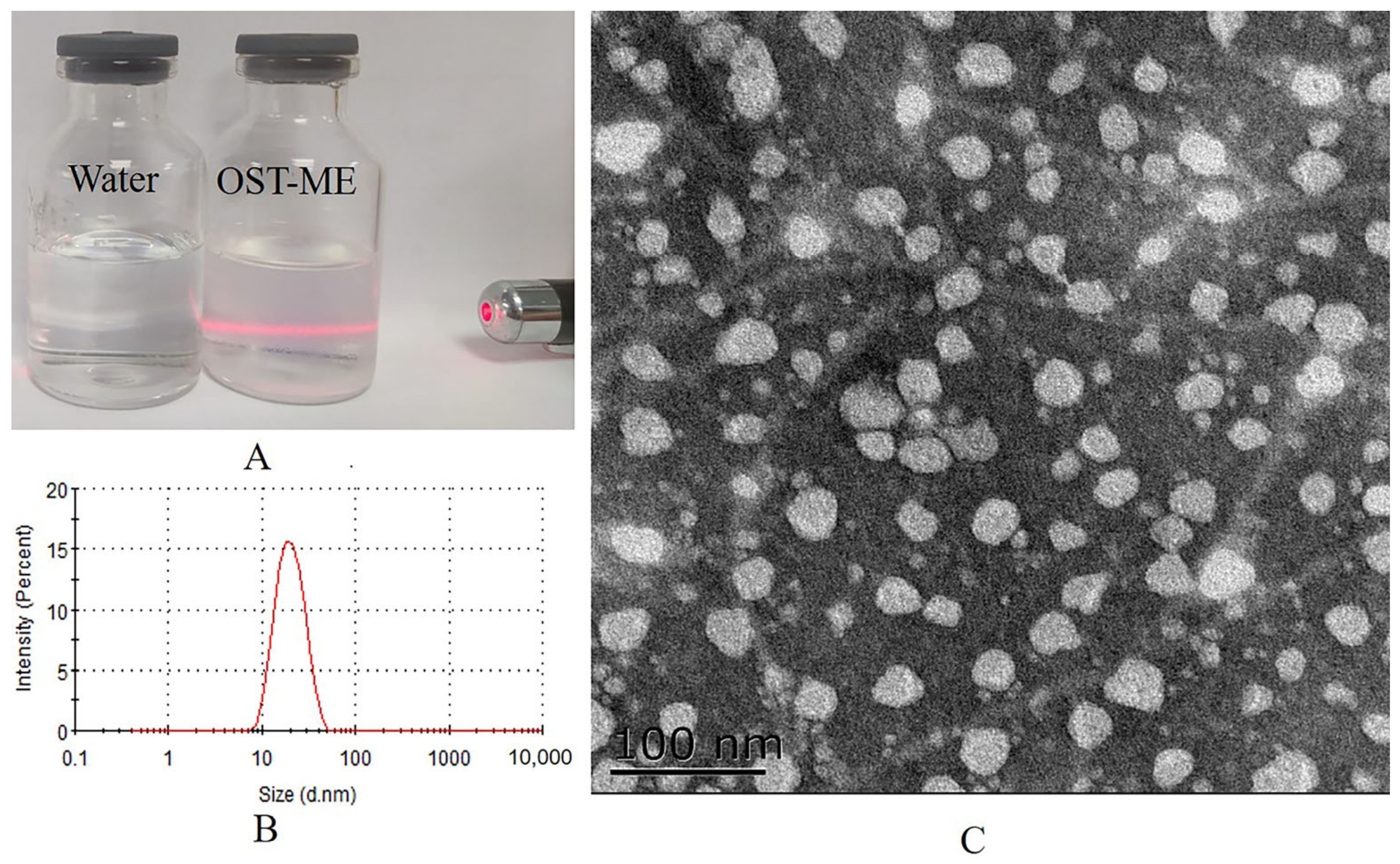 Pharmaceuticals 16 01342 g006