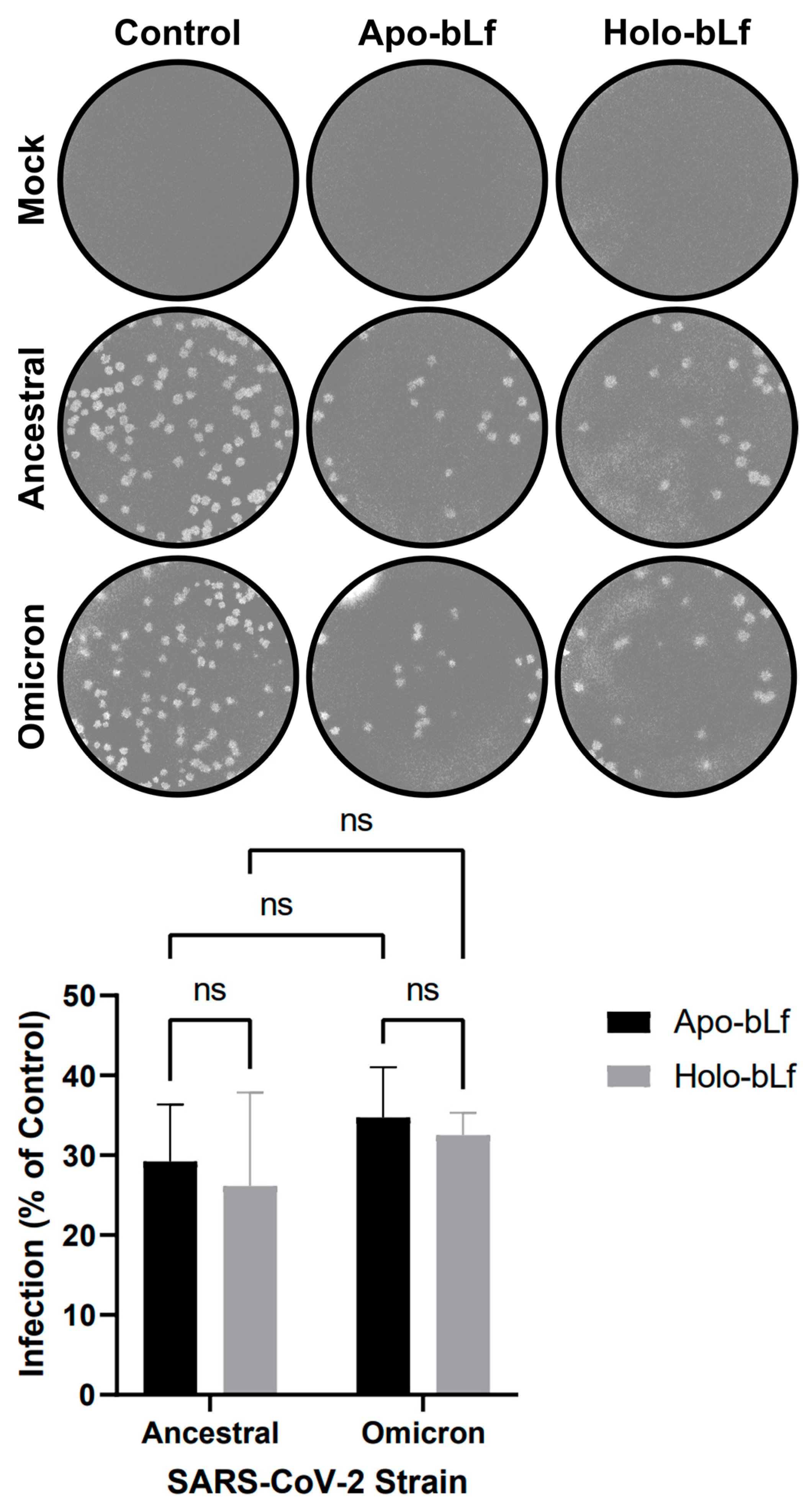 Pharmaceuticals 16 01352 g001