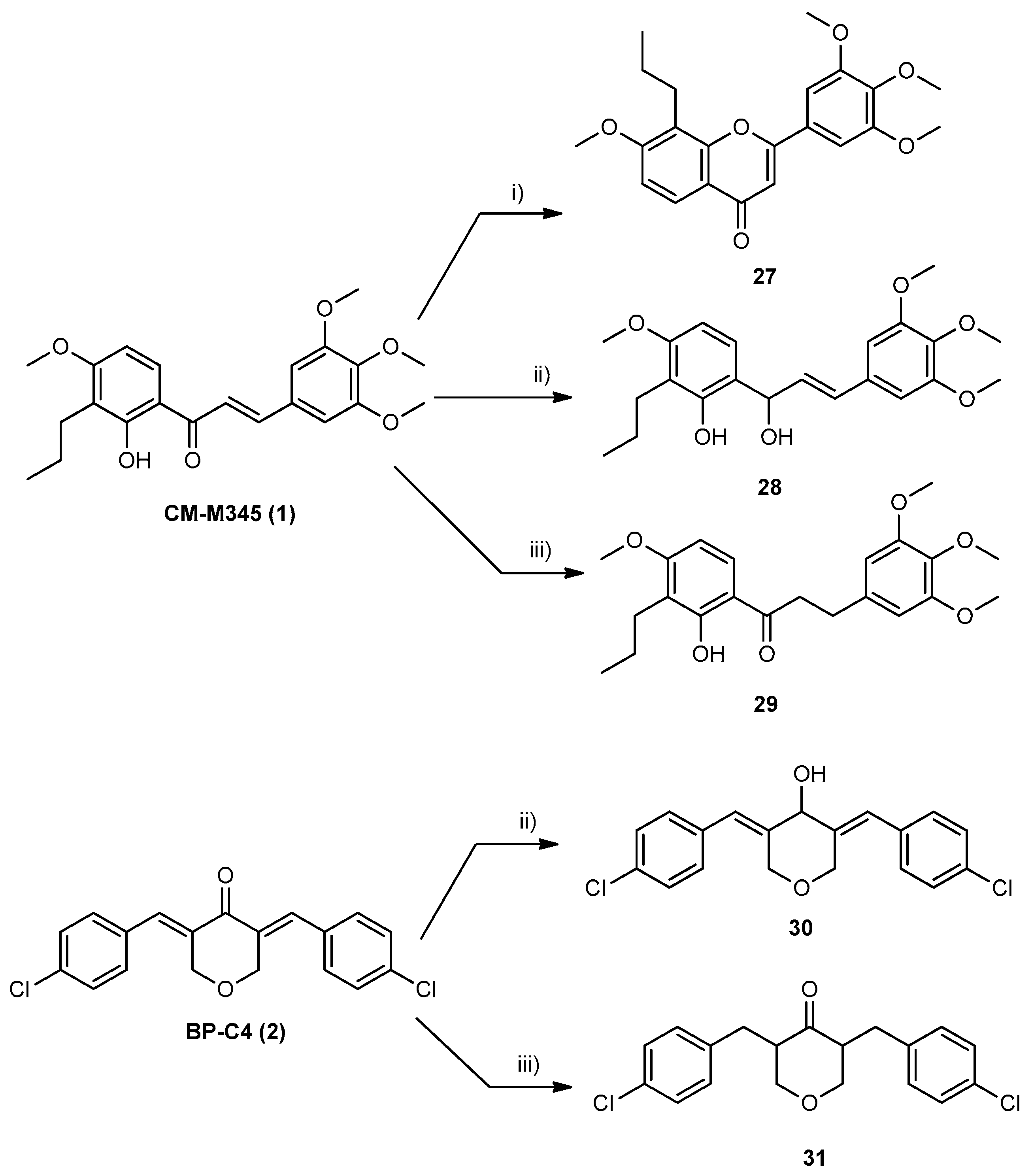 Pharmaceuticals 16 01354 sch002