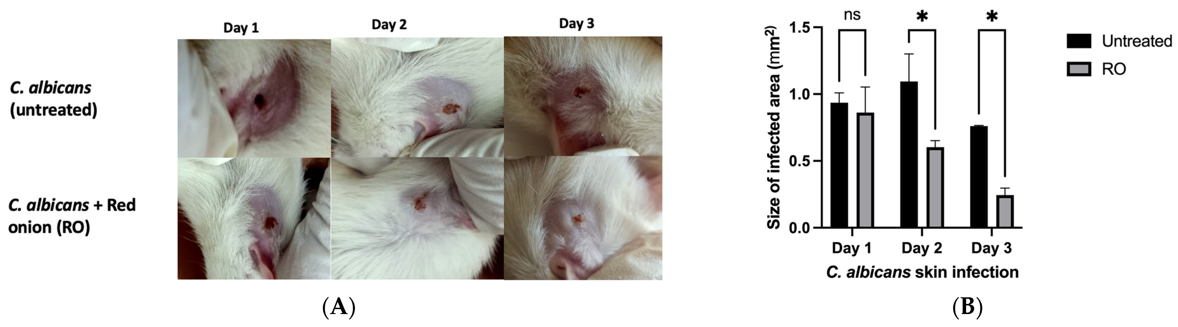 Pharmaceuticals 16 01379 g004