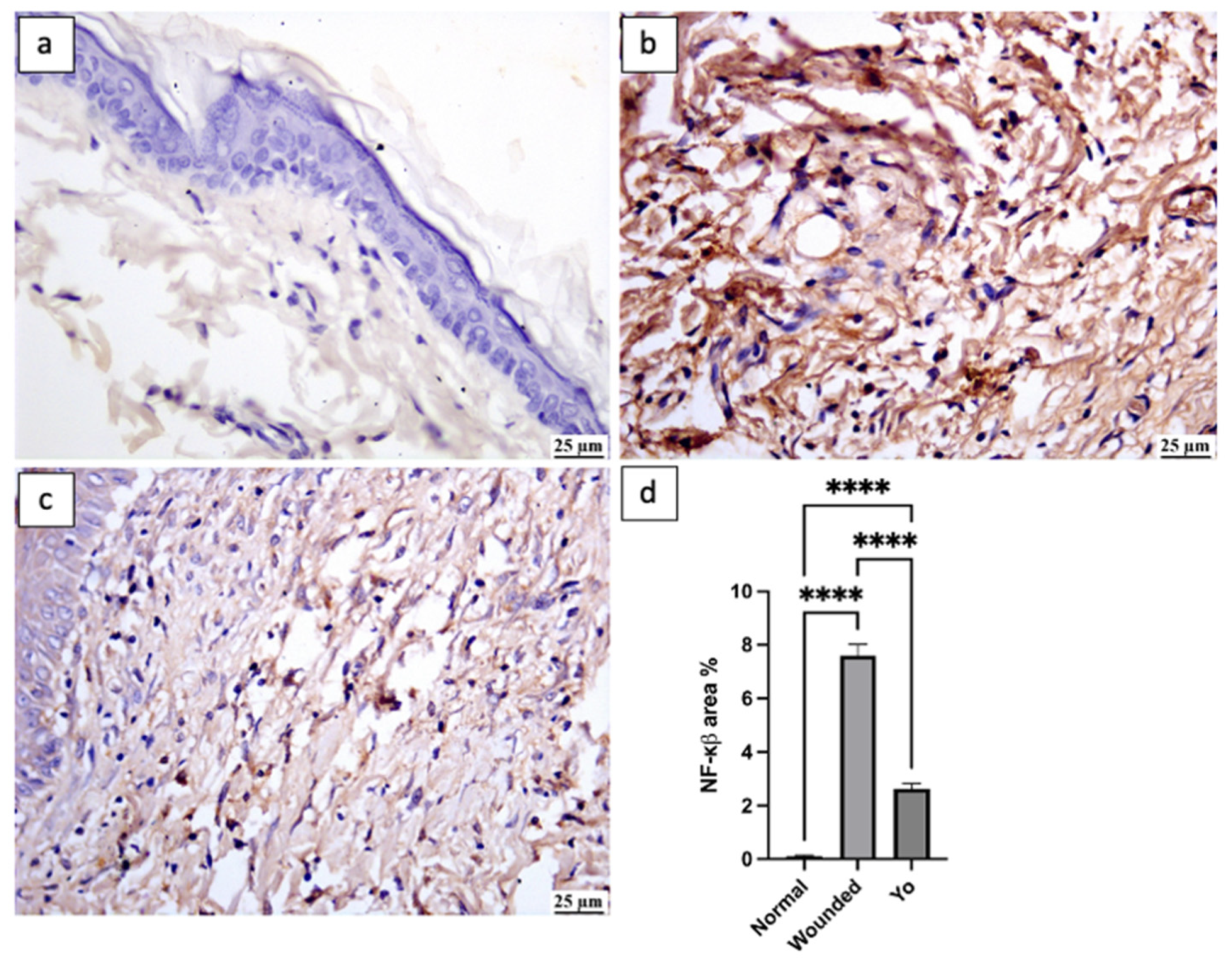 Pharmaceuticals 16 01379 g008