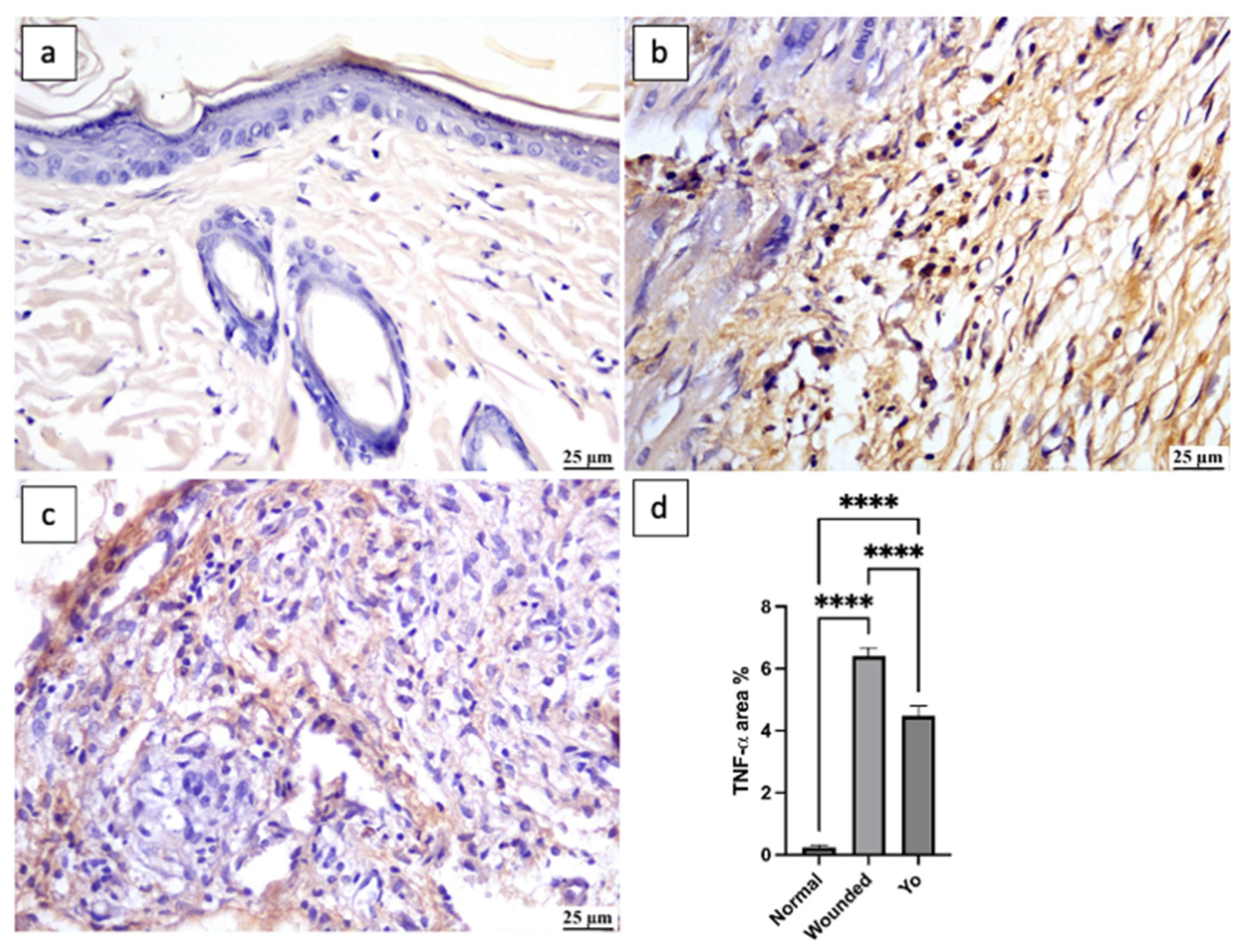 Pharmaceuticals 16 01379 g009