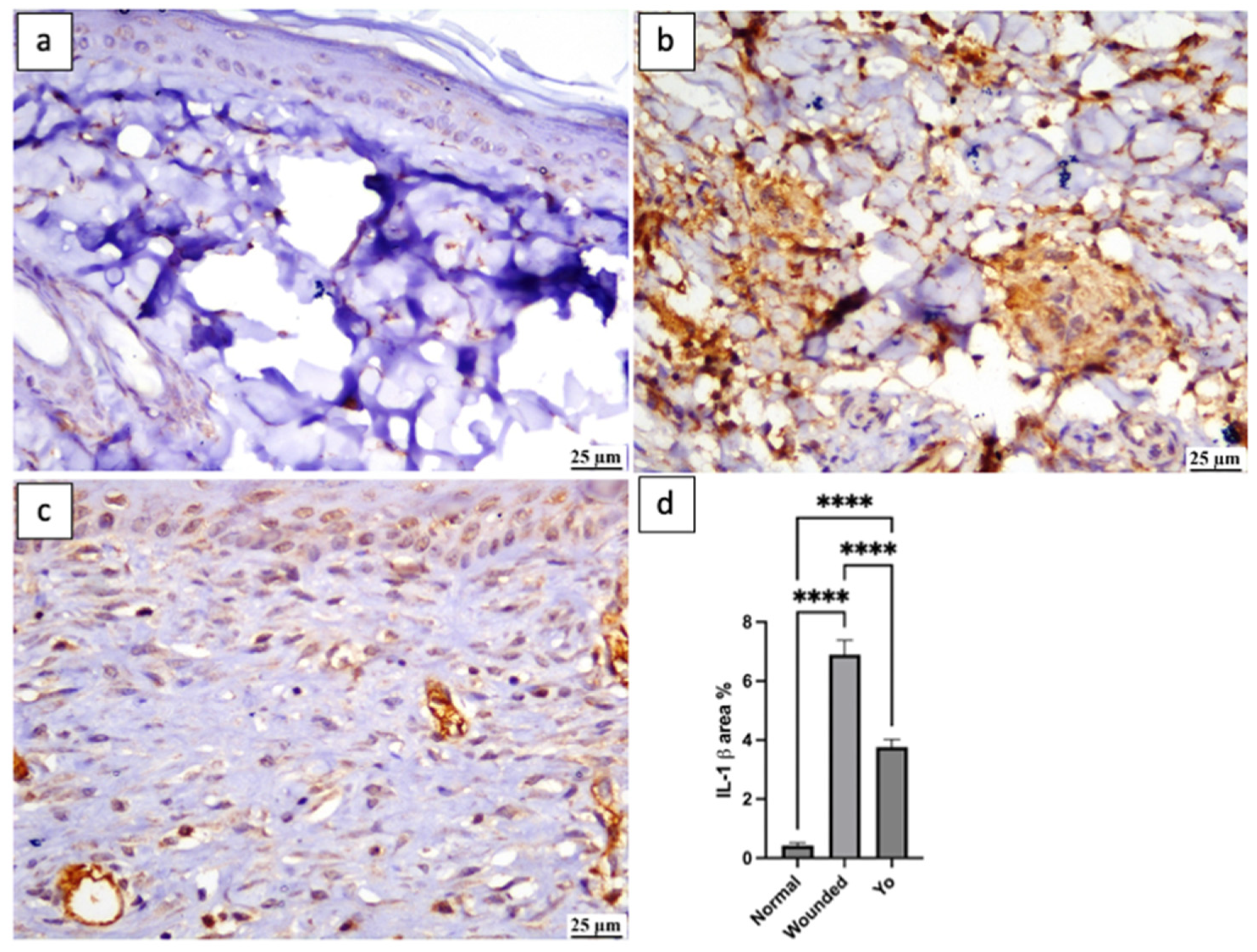 Pharmaceuticals 16 01379 g010