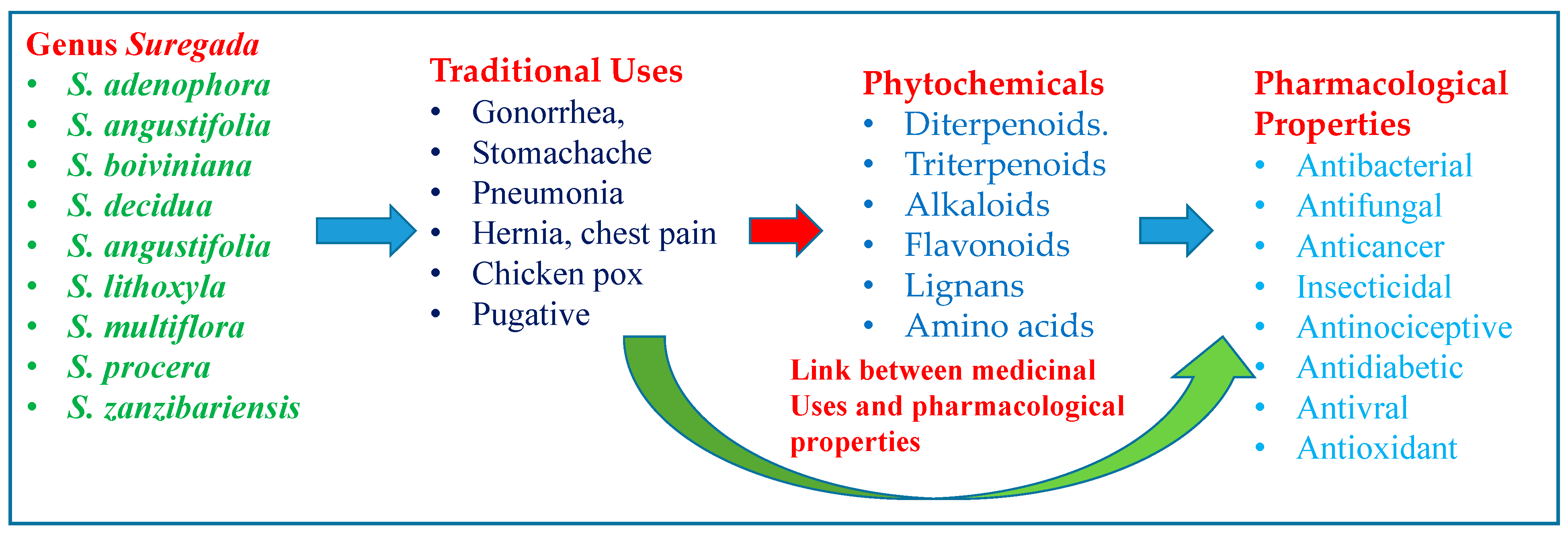 Pharmaceuticals 16 01390 g013