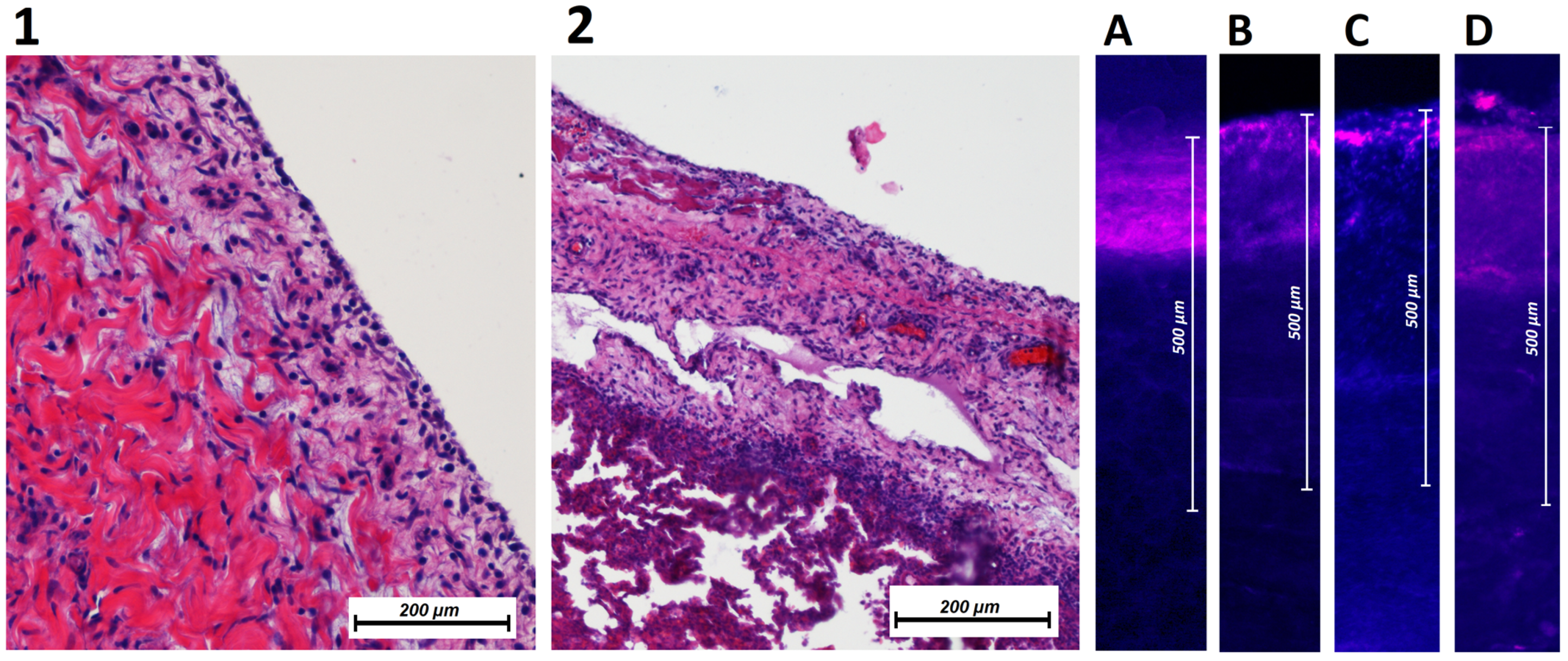 Pharmaceuticals 16 01393 g005