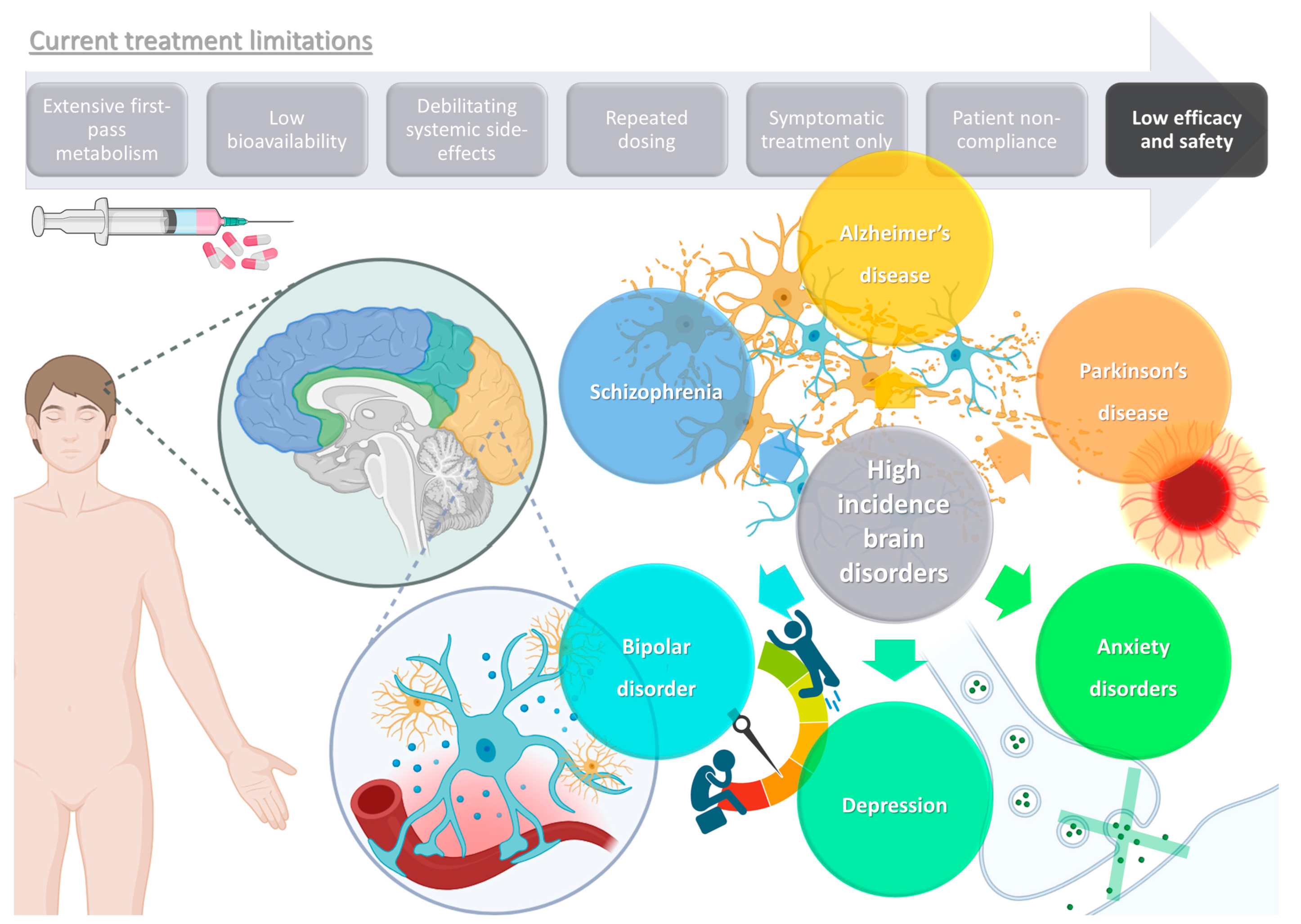 Pharmaceuticals 16 01424 g001