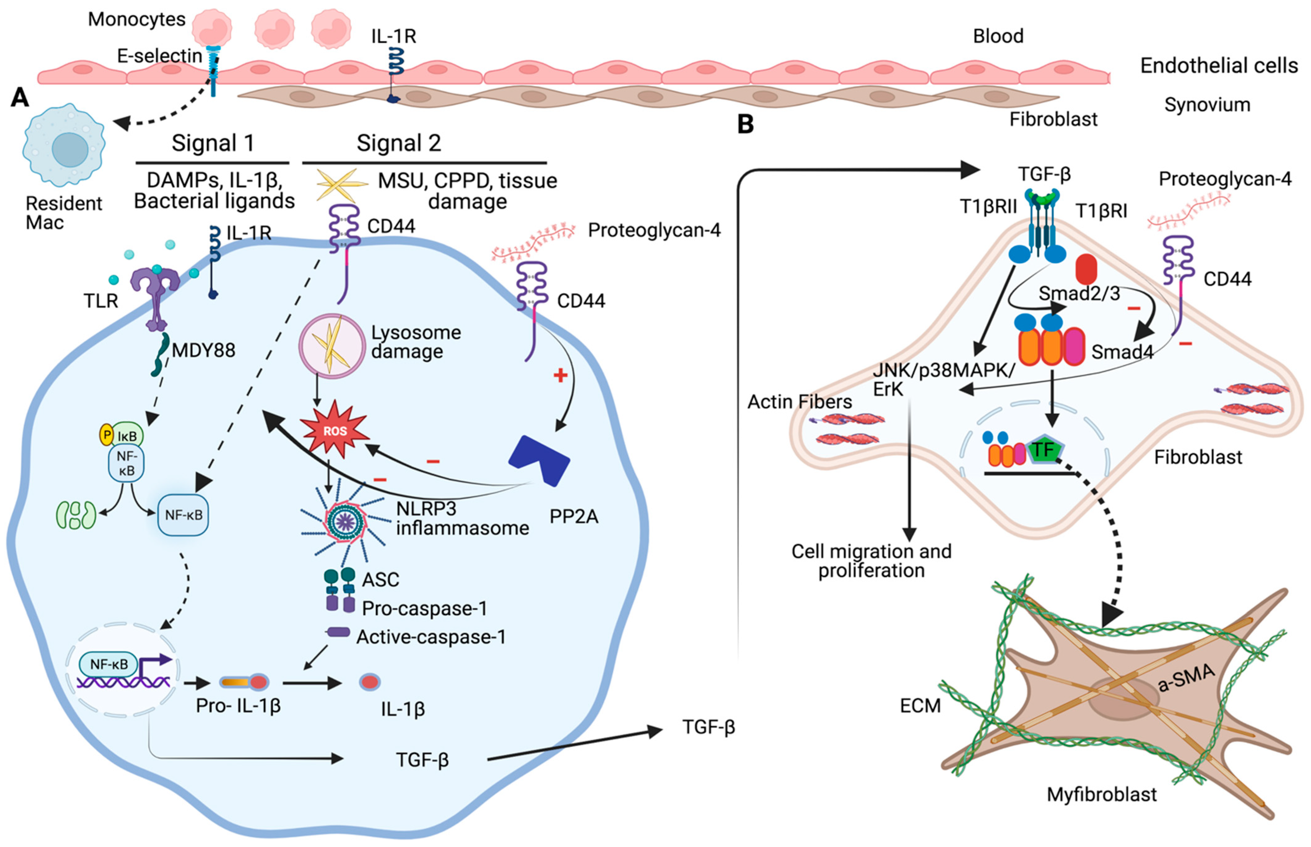 Pharmaceuticals 16 01425 g002 Pharmaceuticals 16 01425 g002