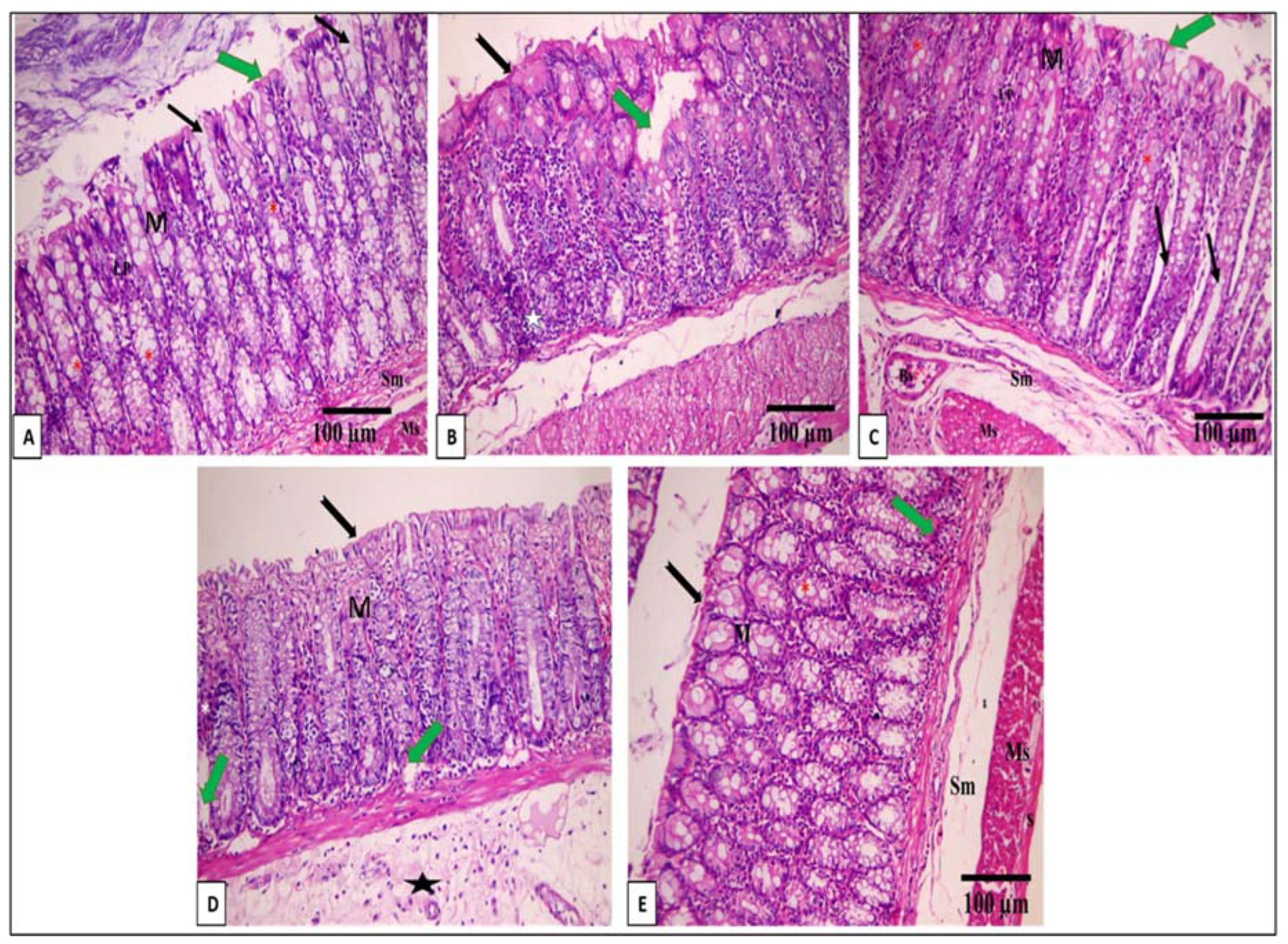 Pharmaceuticals 16 01431 g004