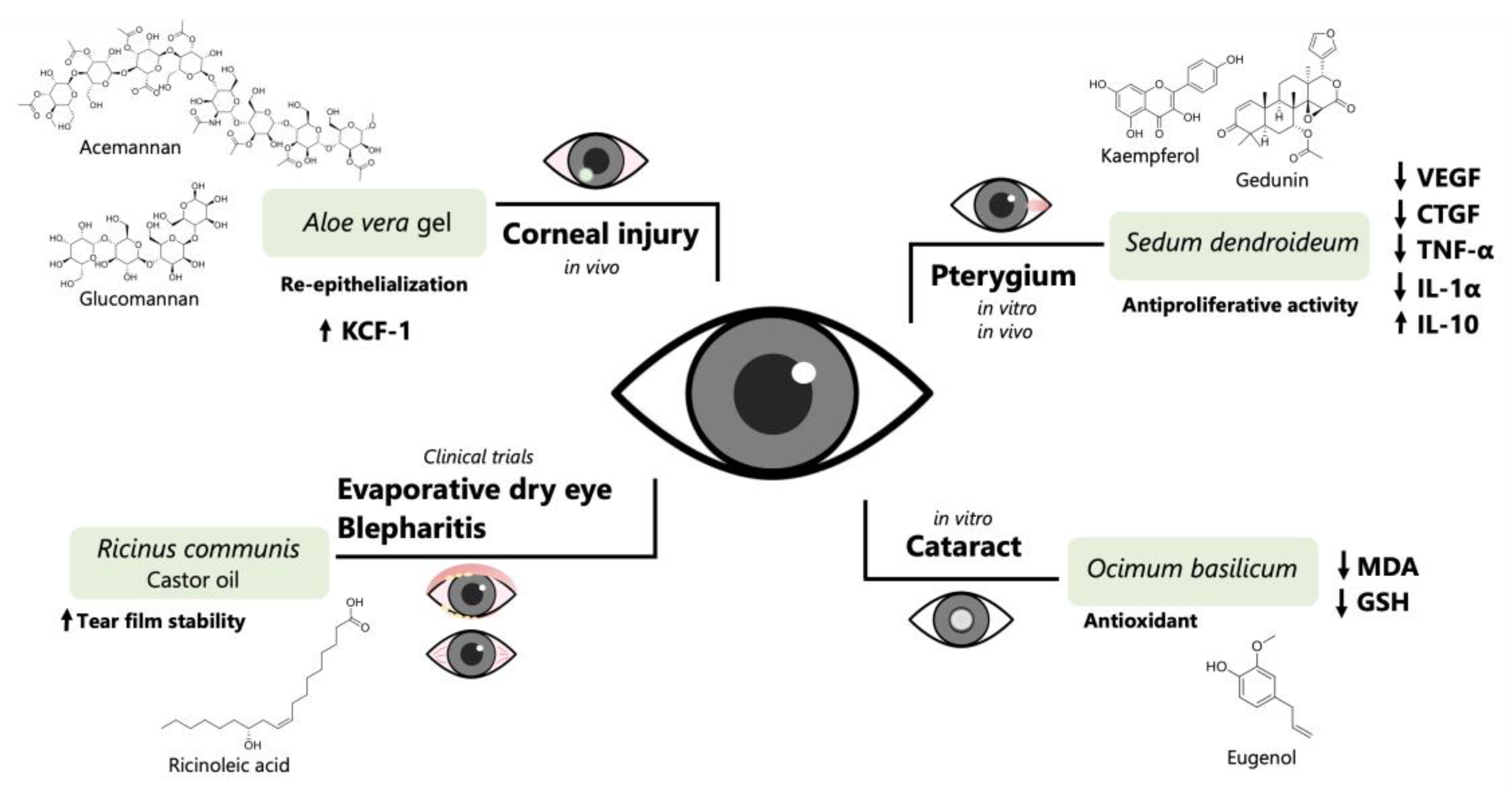 Los ojos de Carmen - Chapter 1 Quiz by Save Me Spanish