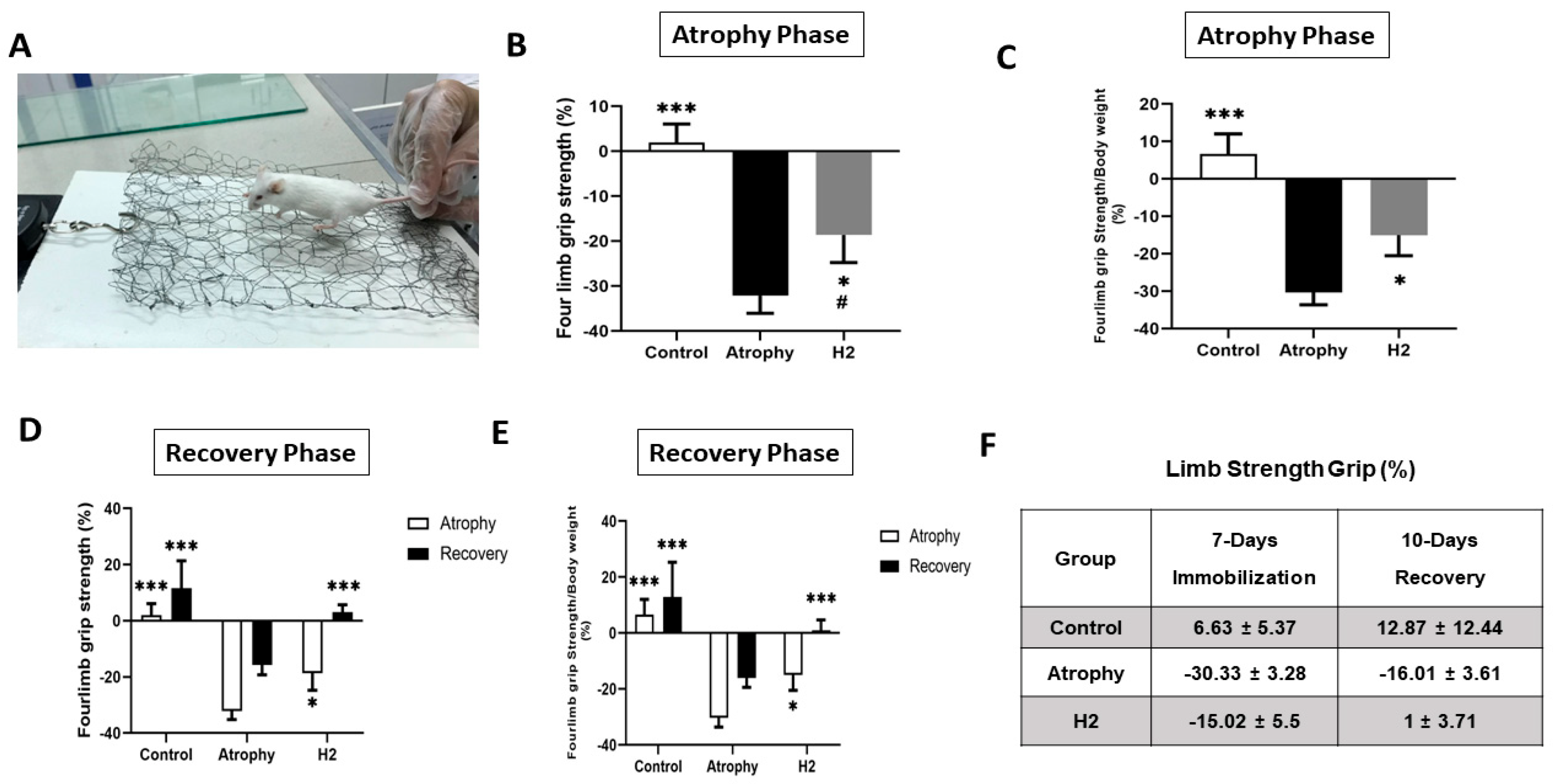 Pharmaceuticals 16 01436 g003