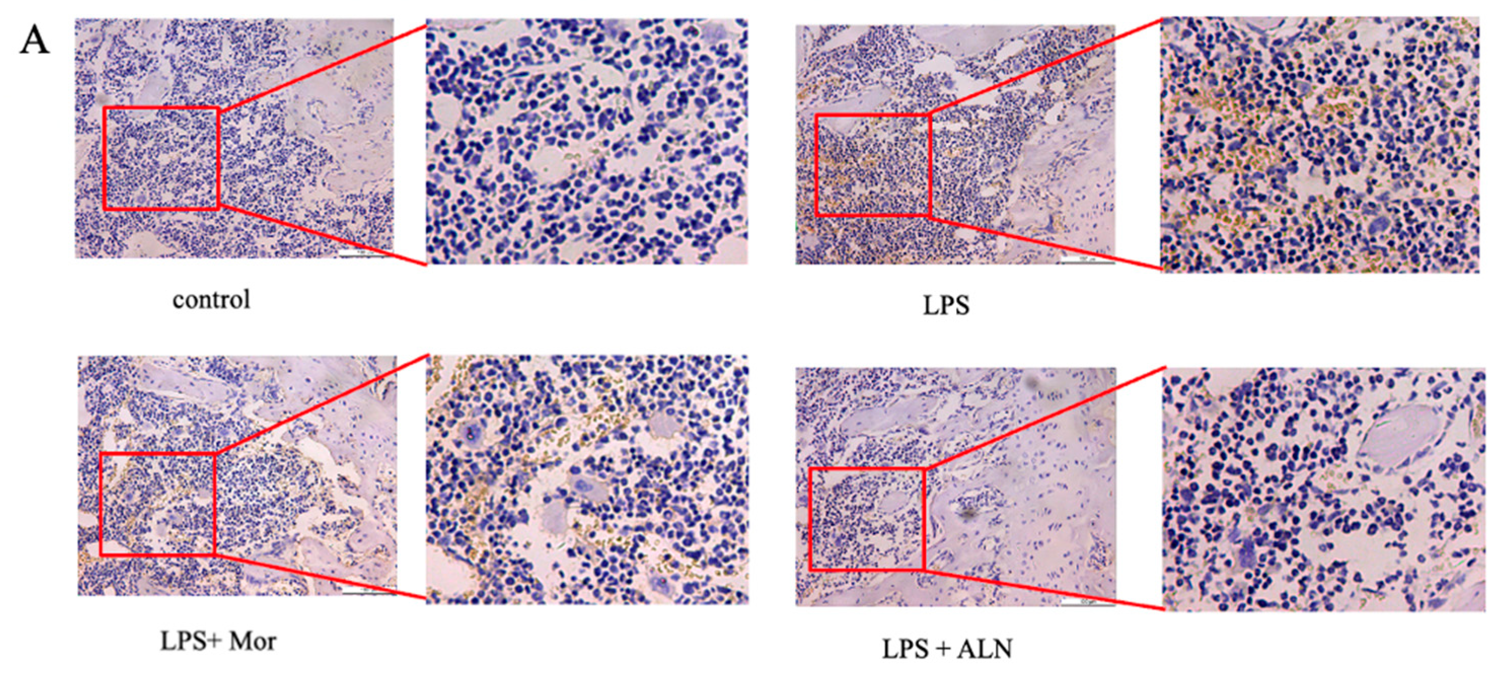 Pharmaceuticals 16 01438 g002a