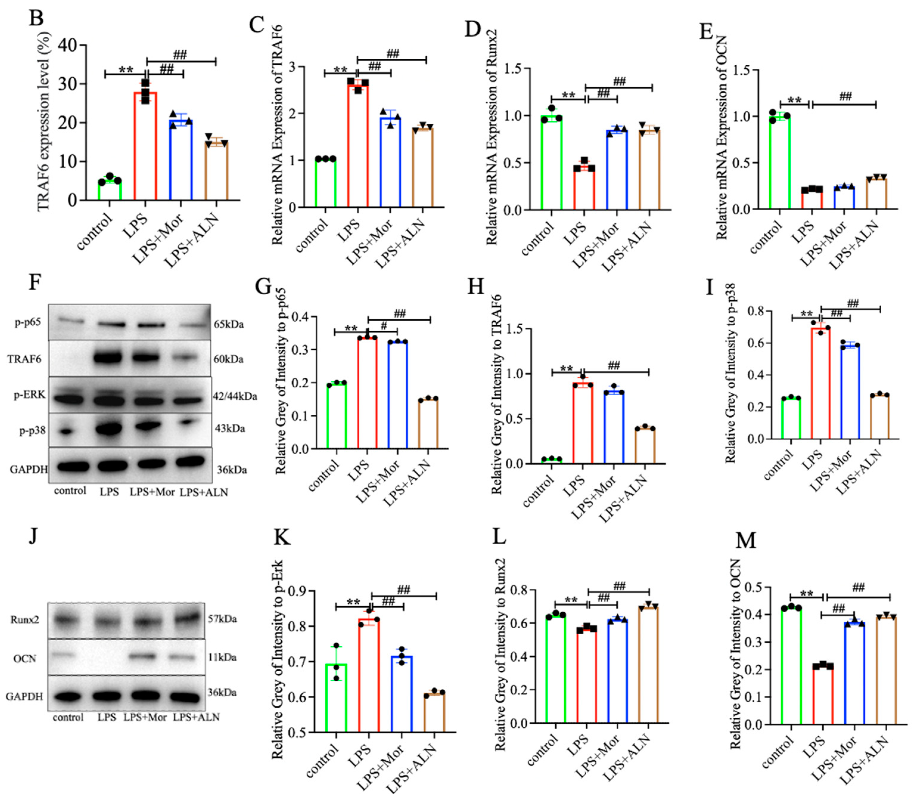Pharmaceuticals 16 01438 g002b
