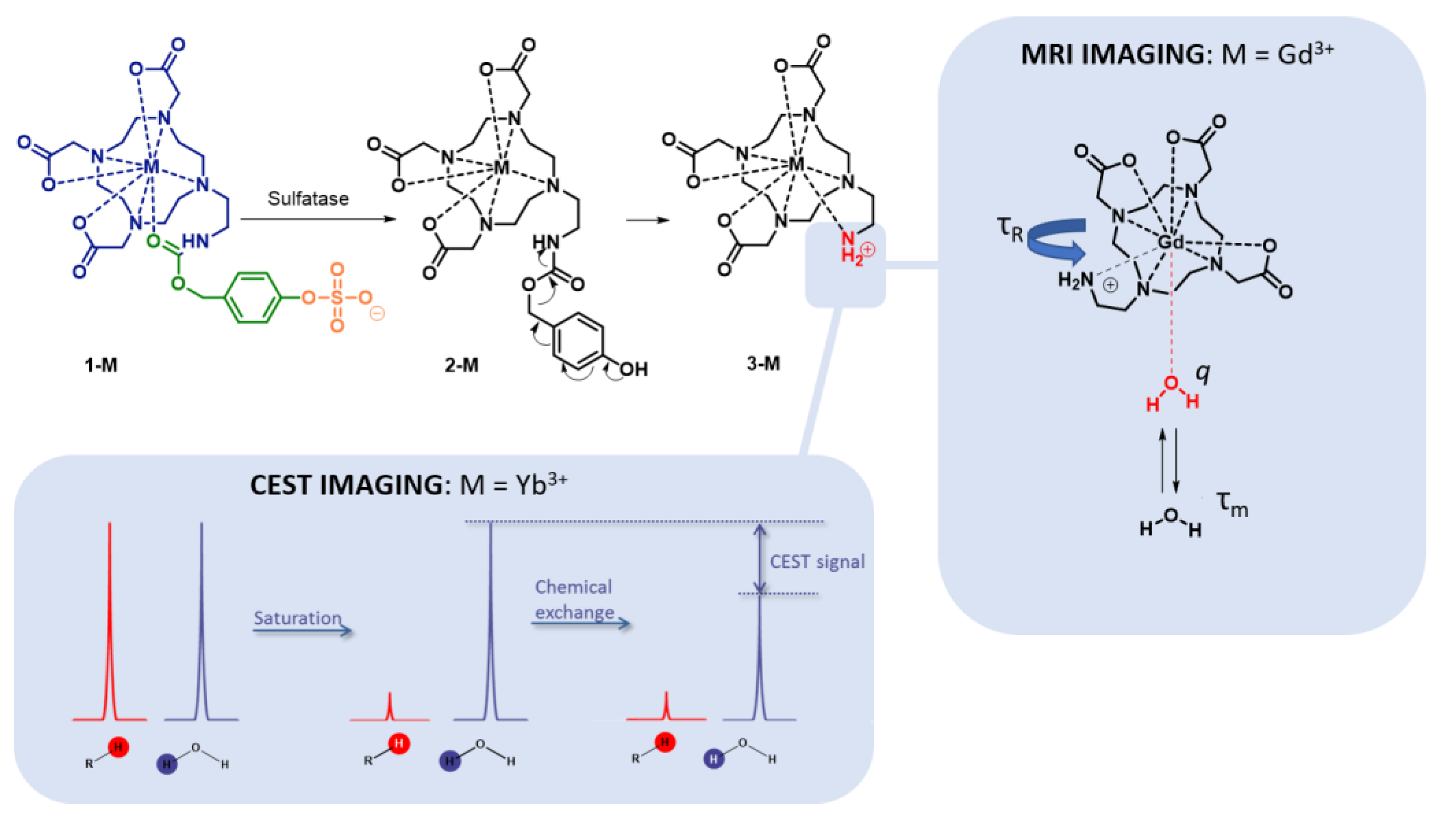 Chemistry of MRI Contrast Agents: Current Challenges and New Frontiers