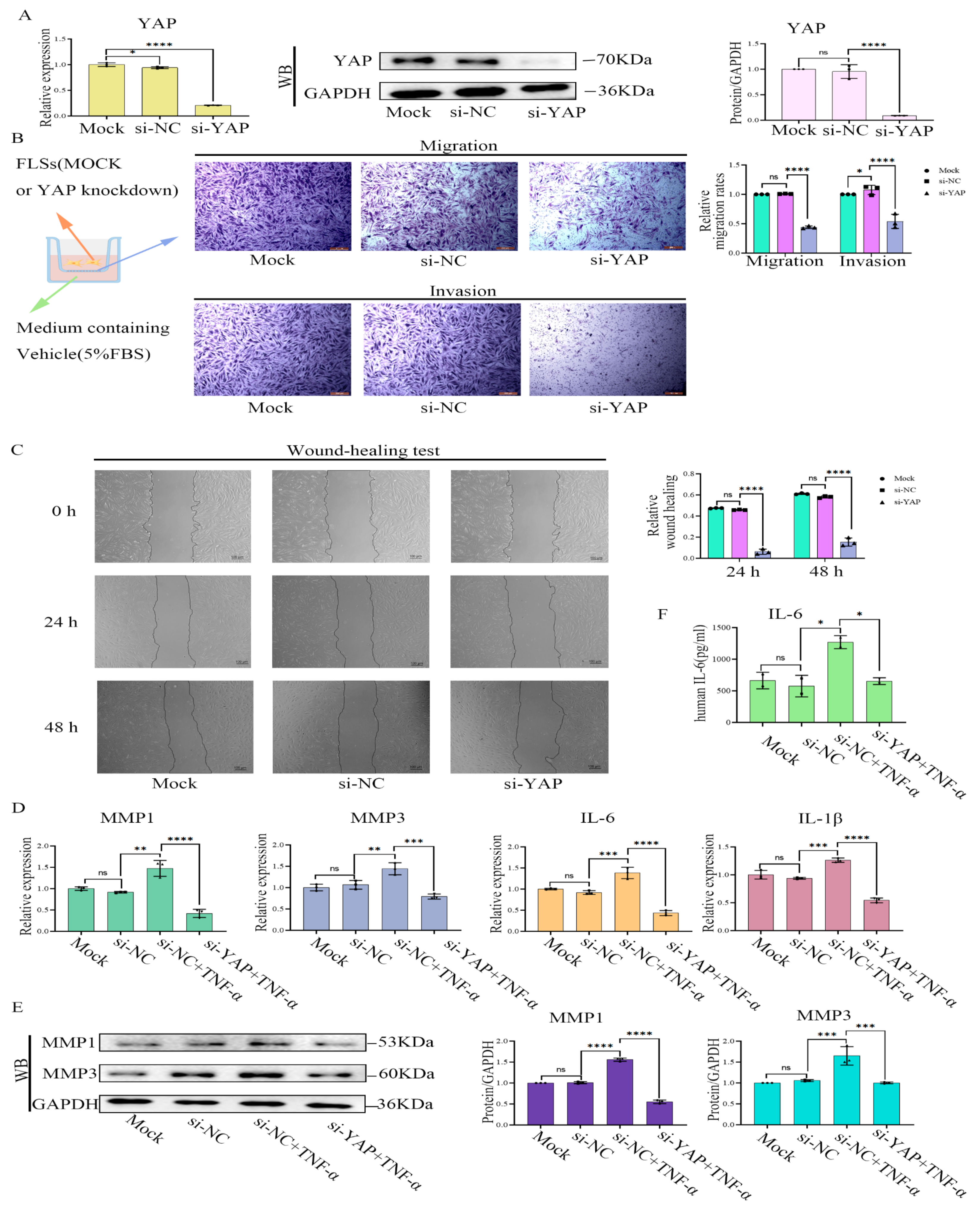 Pharmaceuticals 16 01440 g005