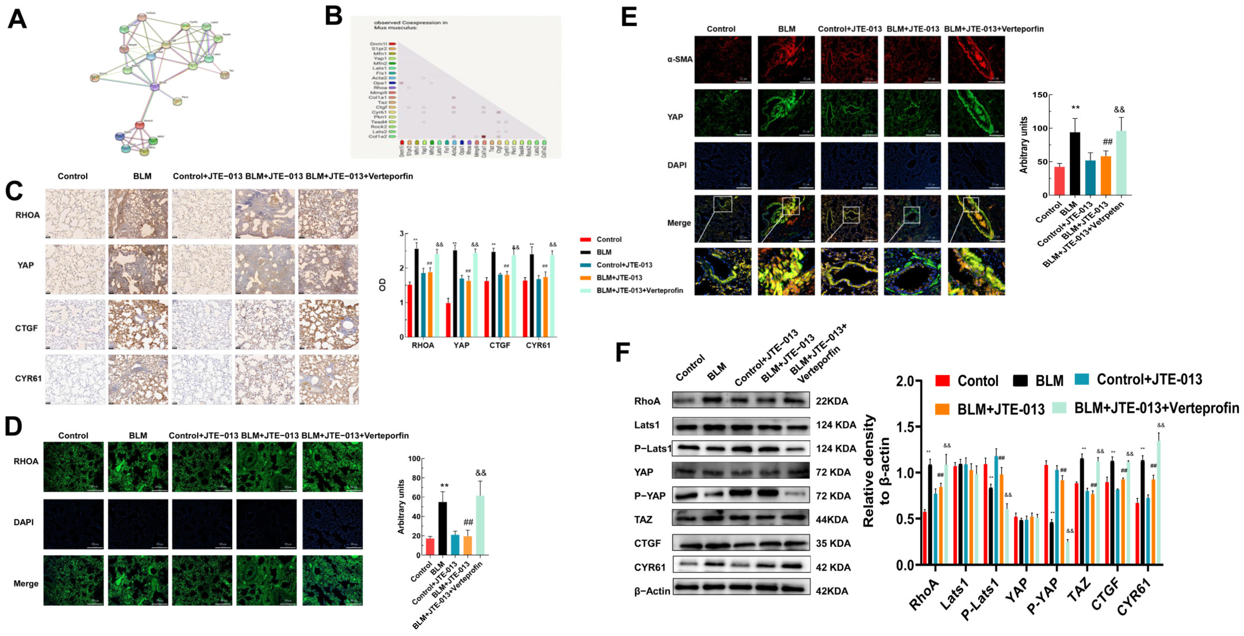 Pharmaceuticals 16 01444 g002