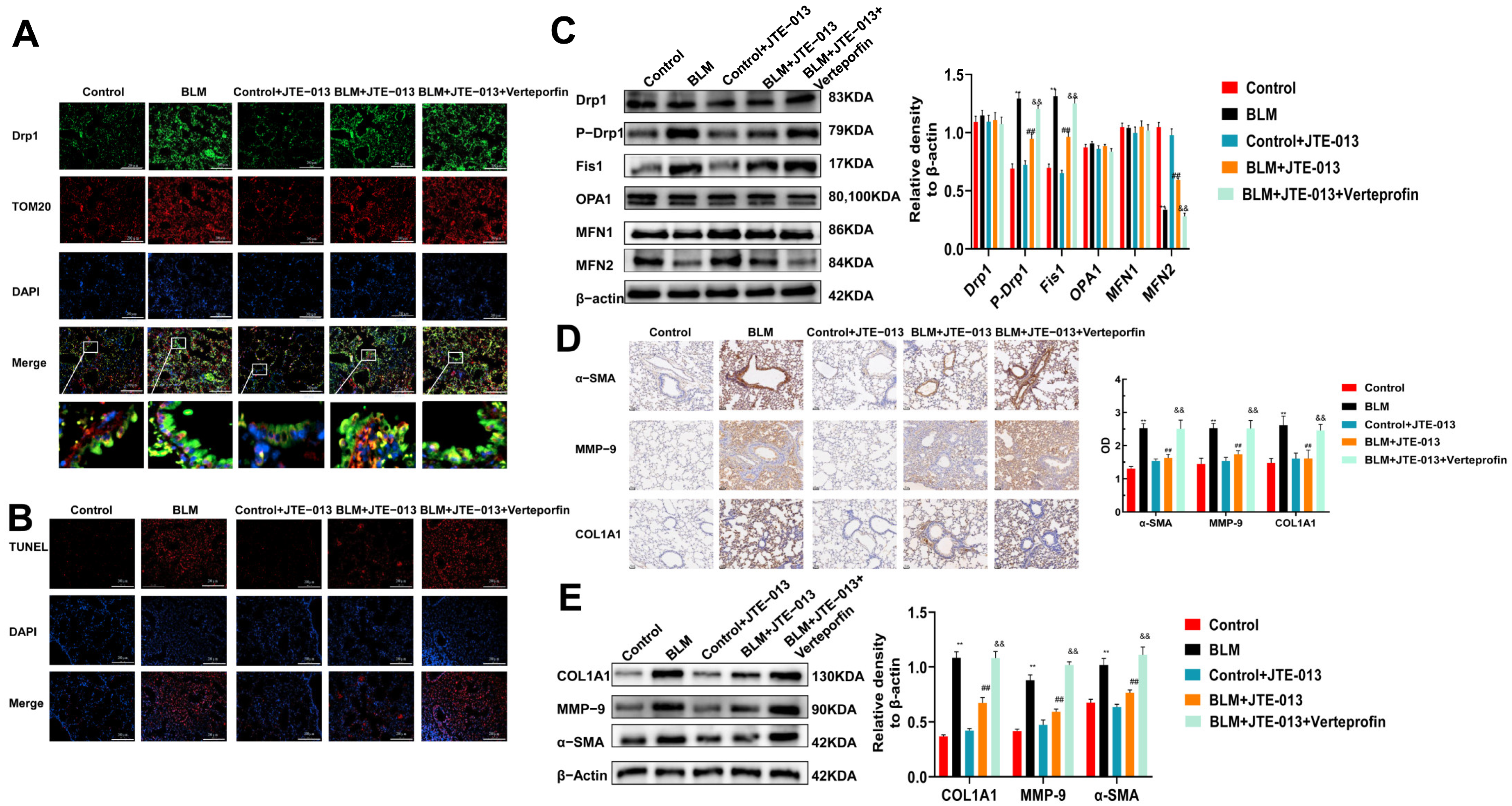 Pharmaceuticals 16 01444 g003