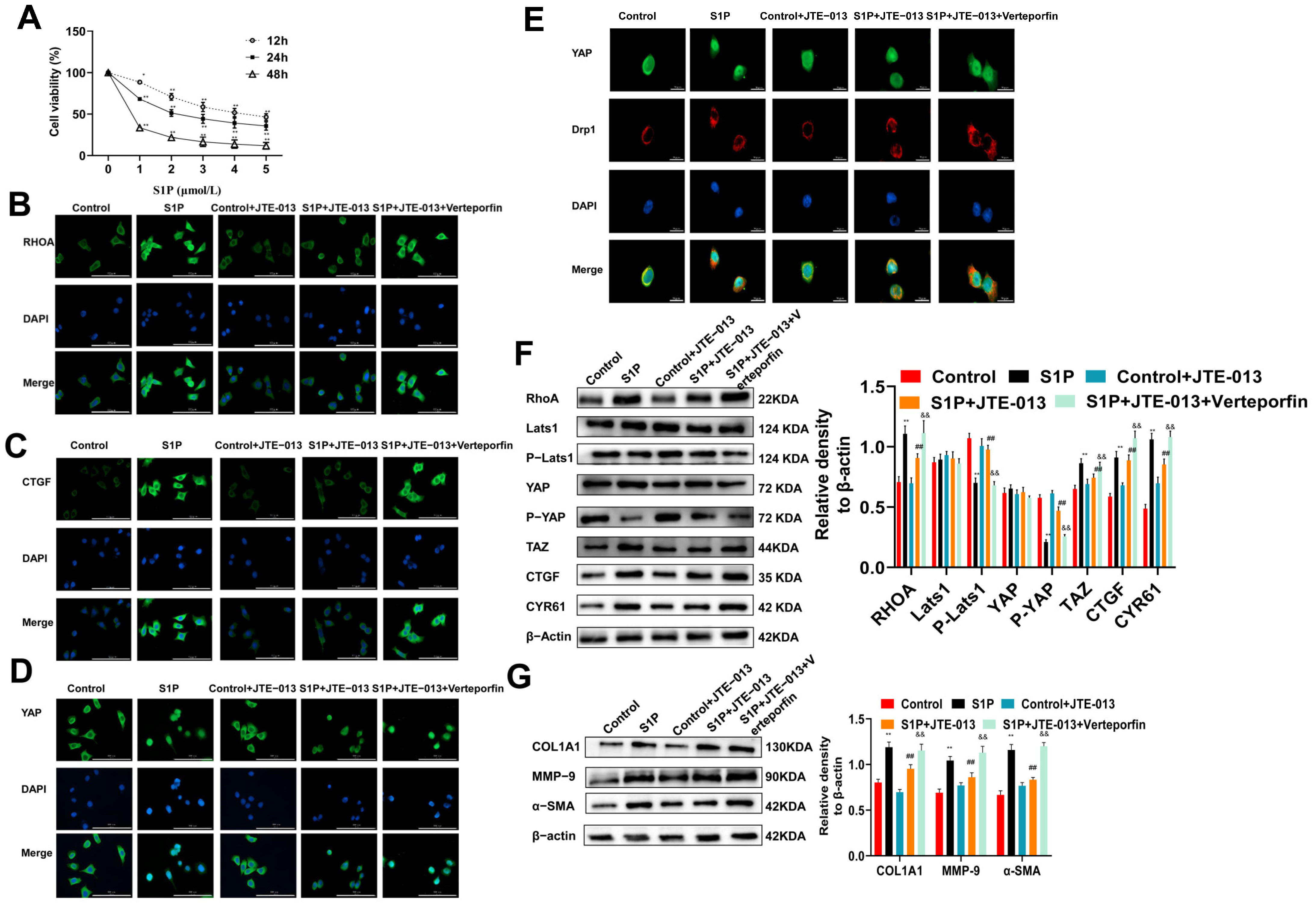 Pharmaceuticals 16 01444 g004