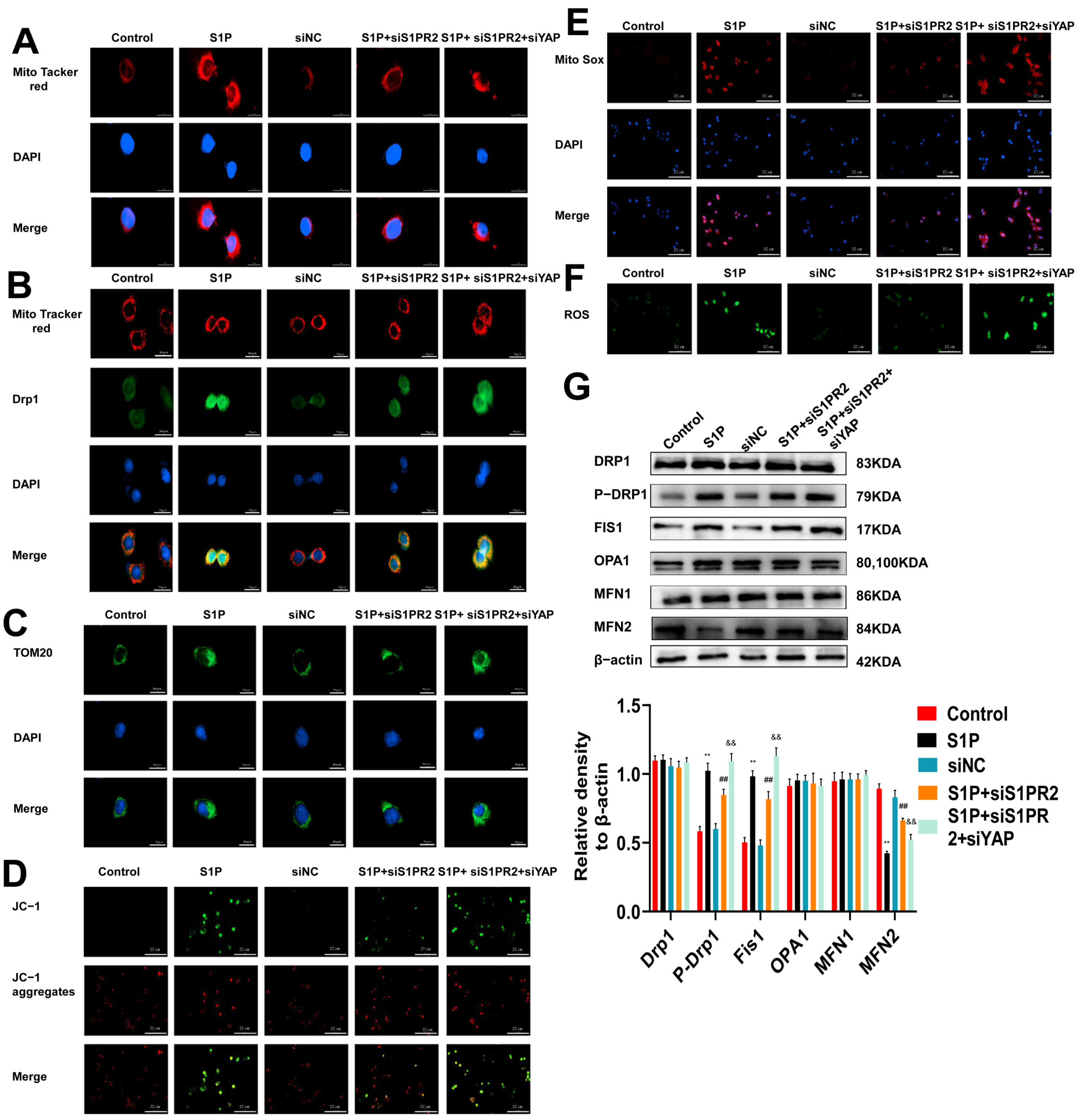Pharmaceuticals 16 01444 g005
