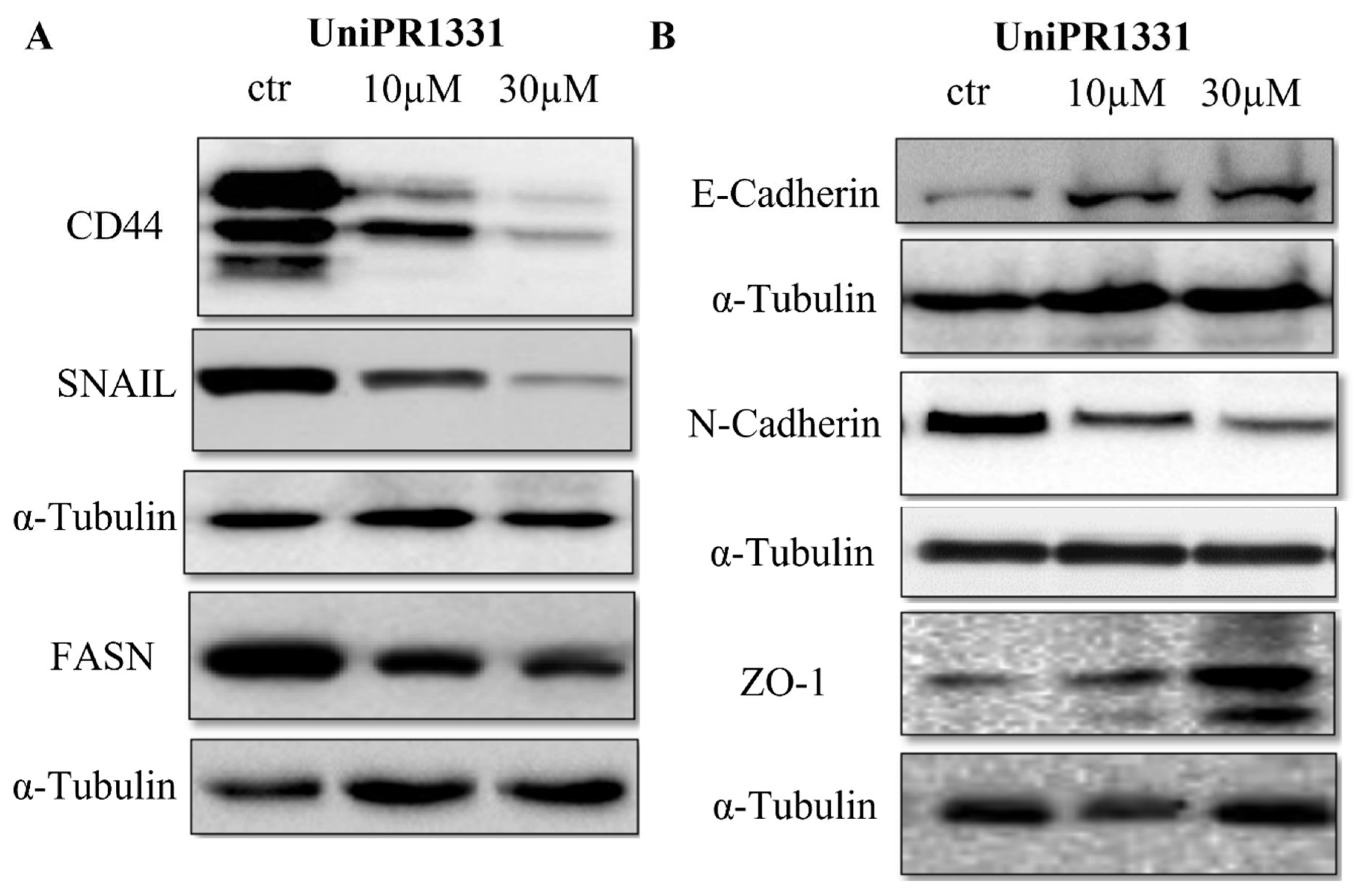 Pharmaceuticals 16 01452 g003