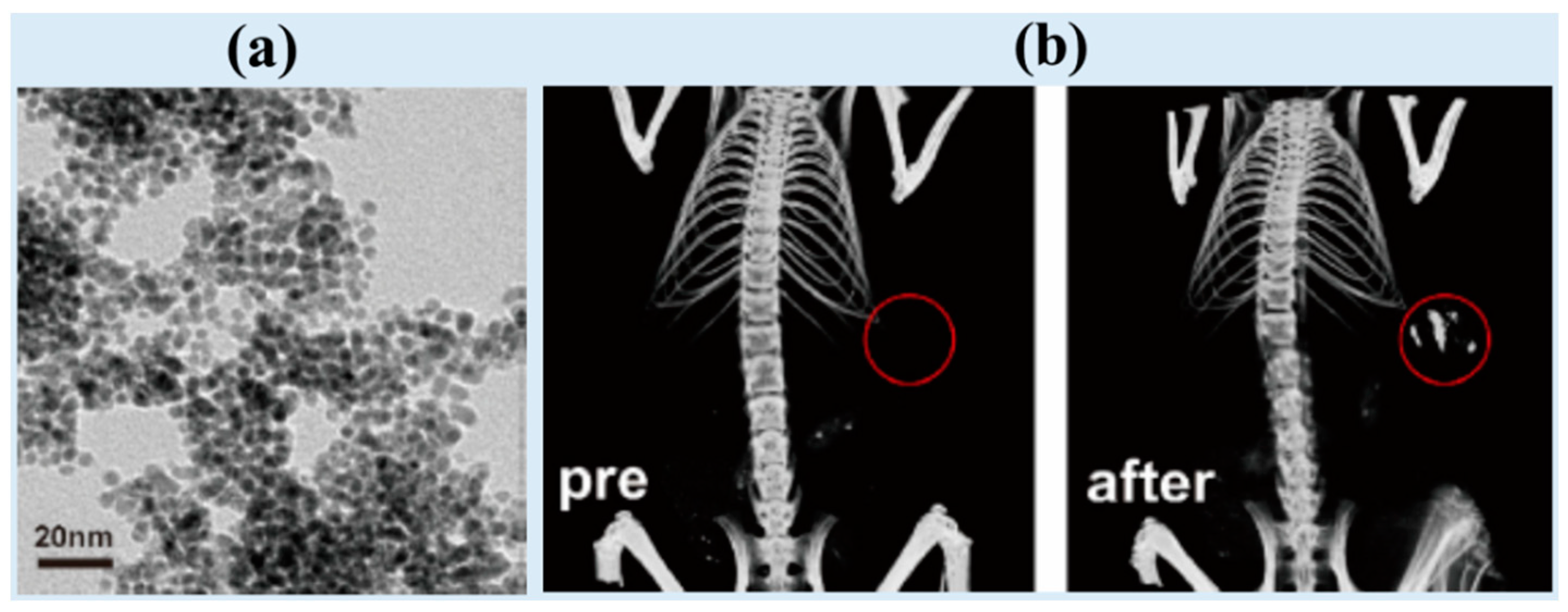 Pharmaceuticals 16 01463 g002