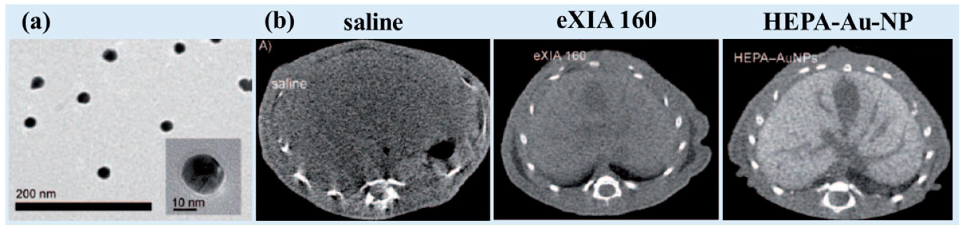 Pharmaceuticals 16 01463 g005