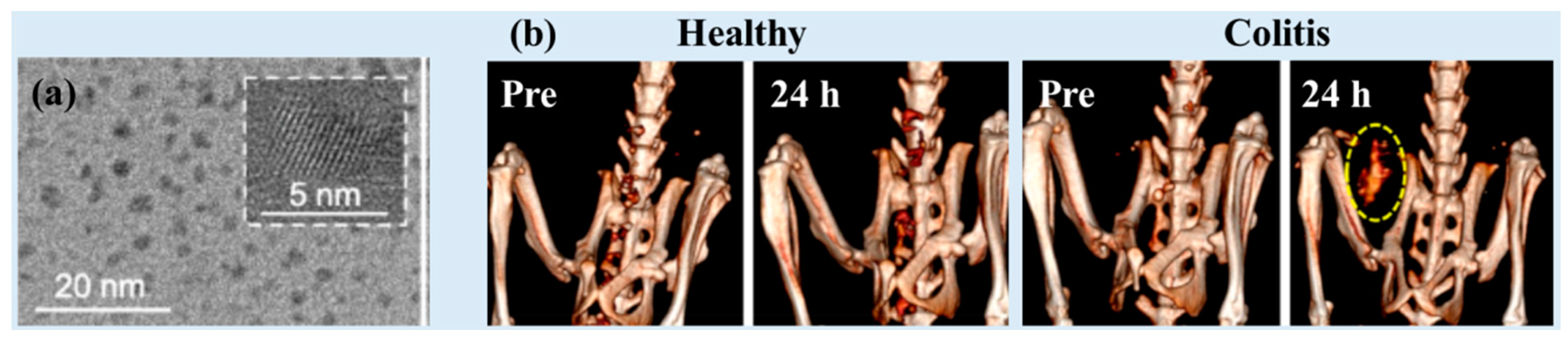 Pharmaceuticals 16 01463 g006