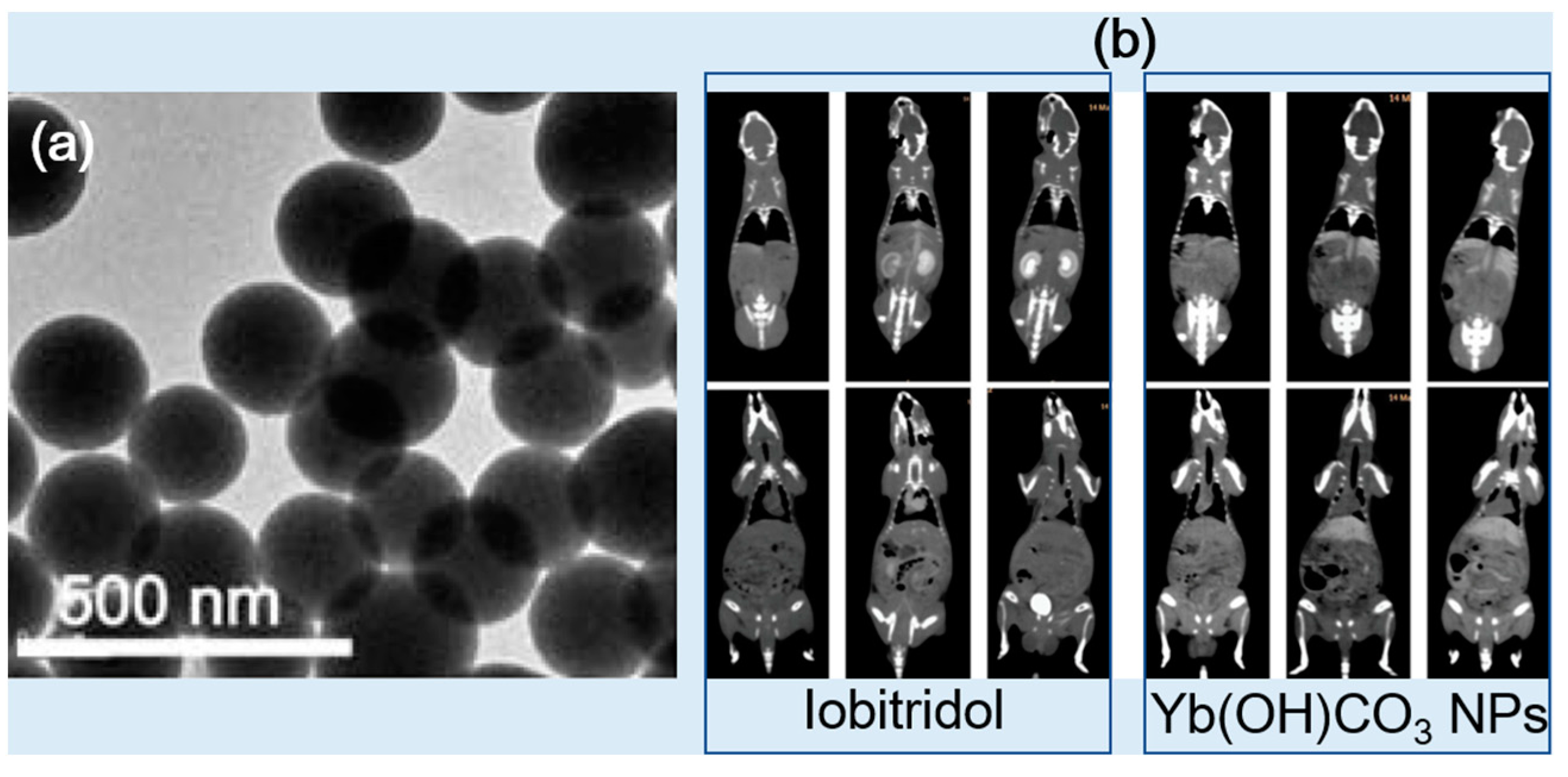 Pharmaceuticals 16 01463 g009