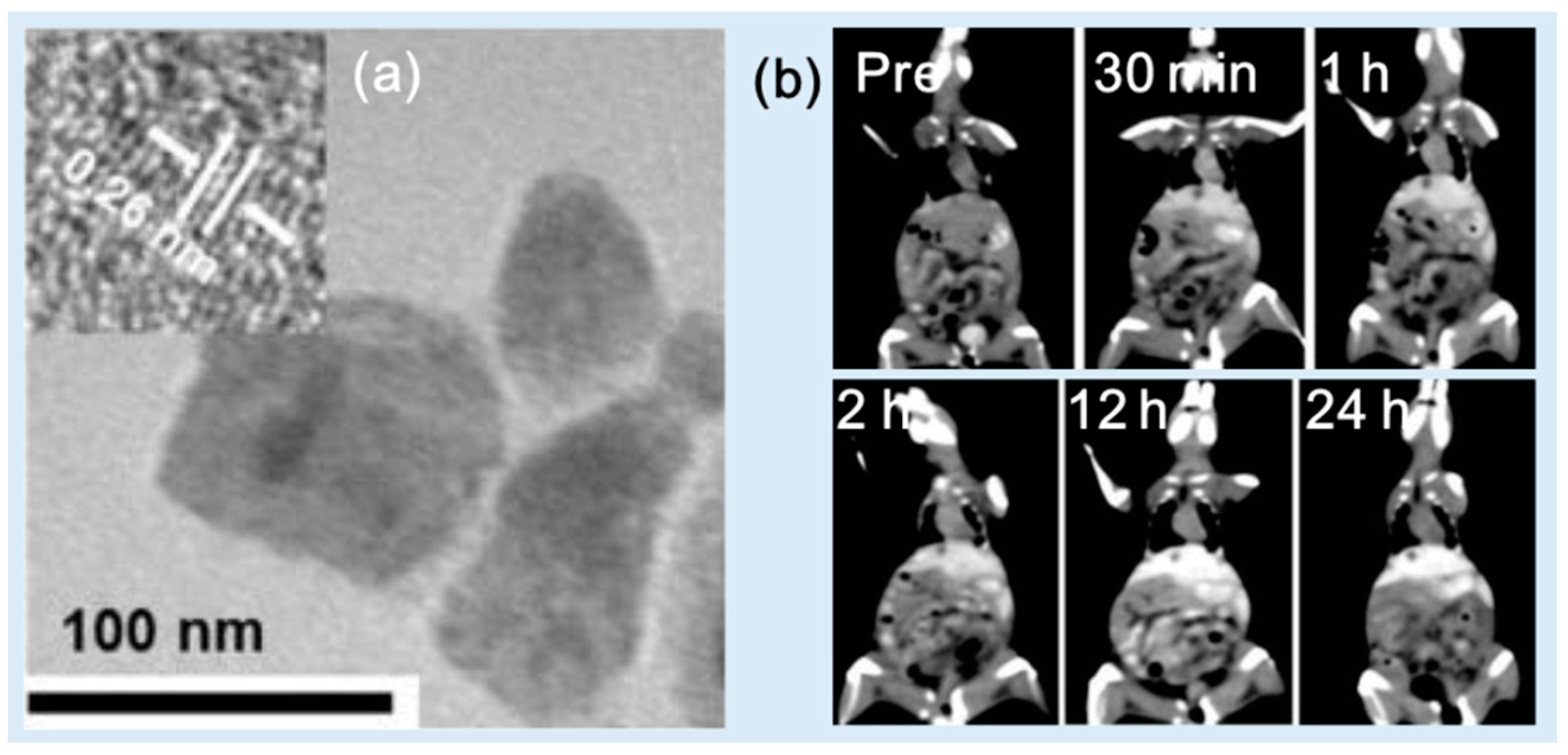 Pharmaceuticals 16 01463 g010