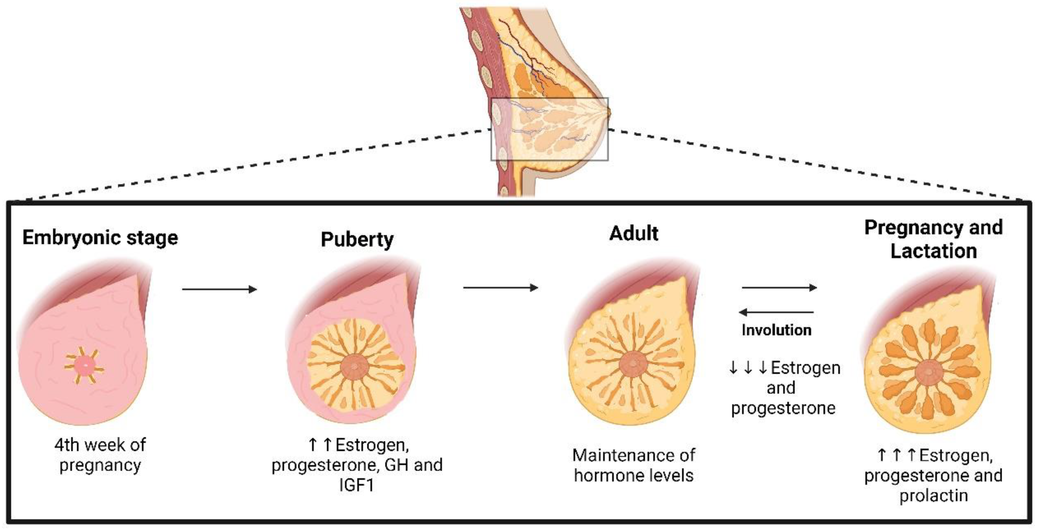 Pharmaceuticals 16 01466 g001 Pharmaceuticals 16 01466 g001