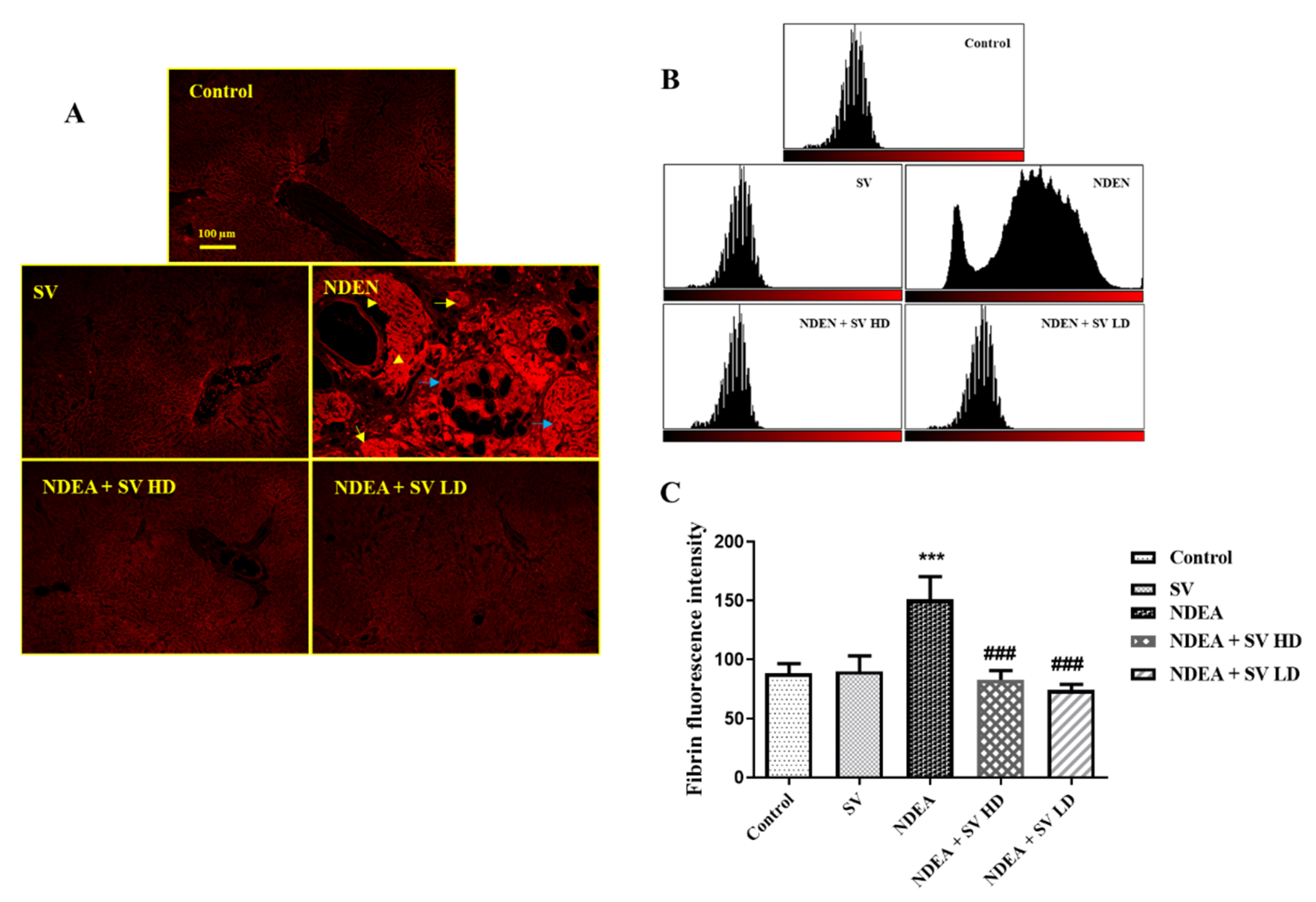 Pharmaceuticals 16 01470 g004 Pharmaceuticals 16 01470 g004