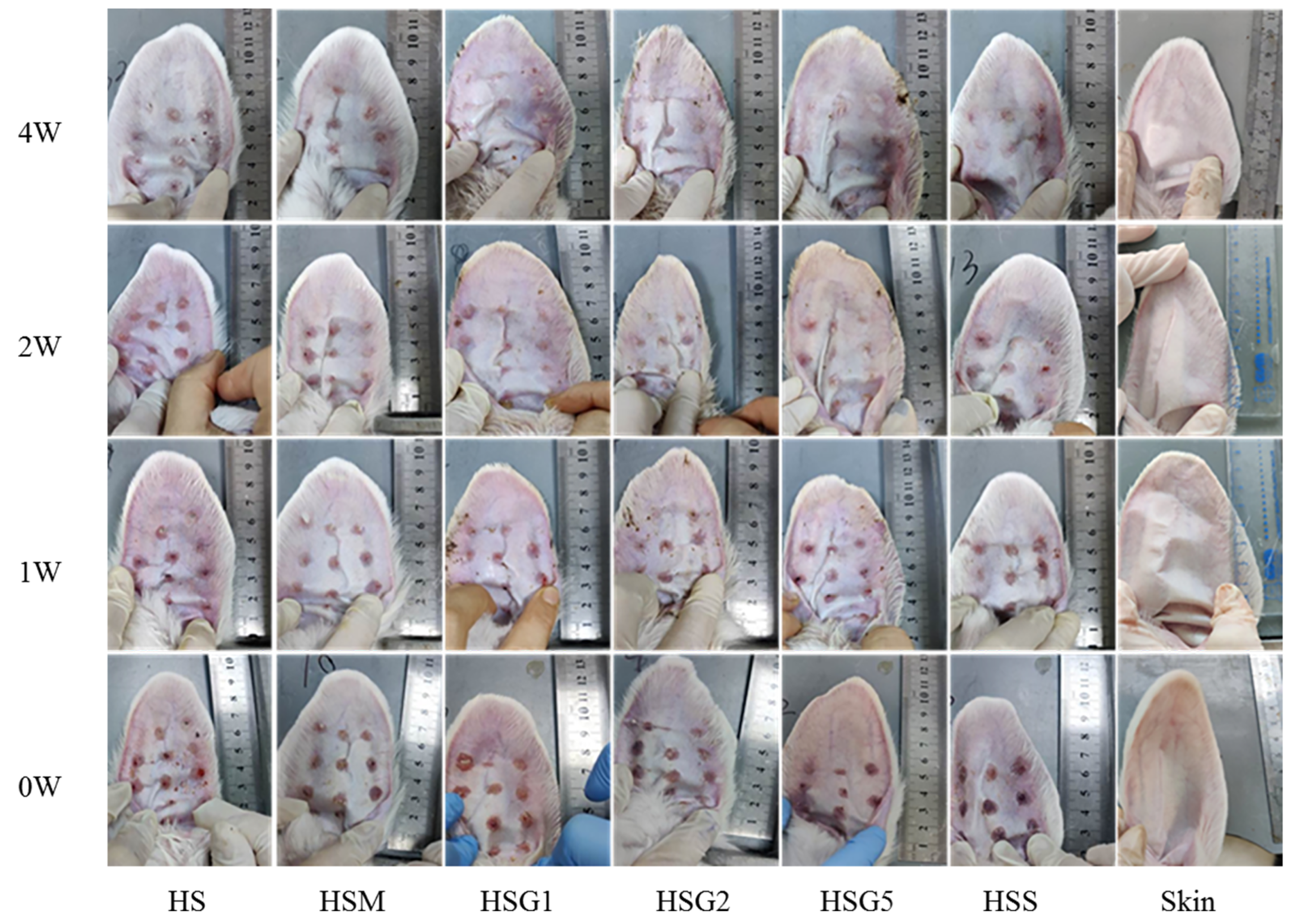 Pharmaceuticals 16 01514 g001