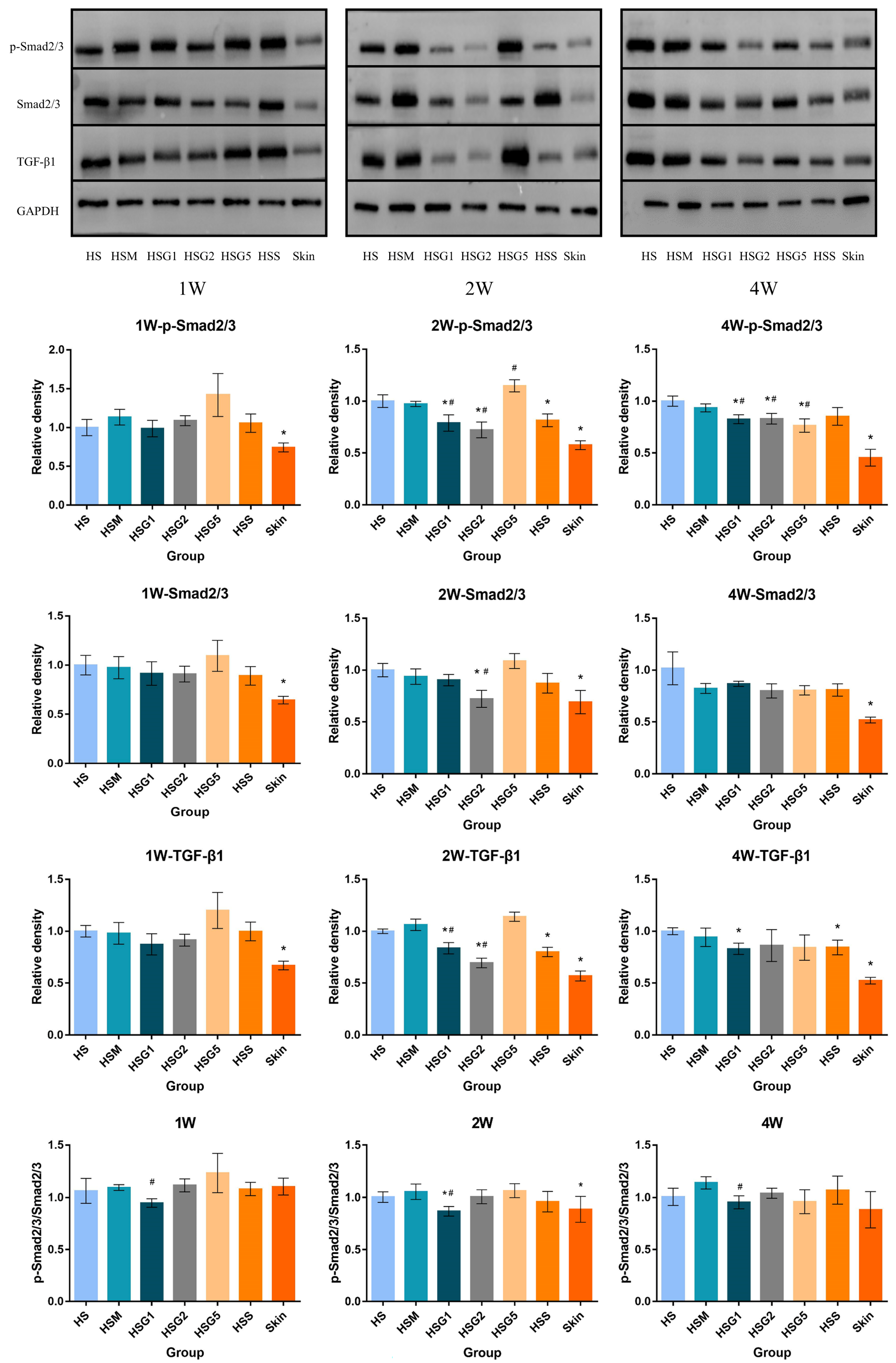 Pharmaceuticals 16 01514 g005