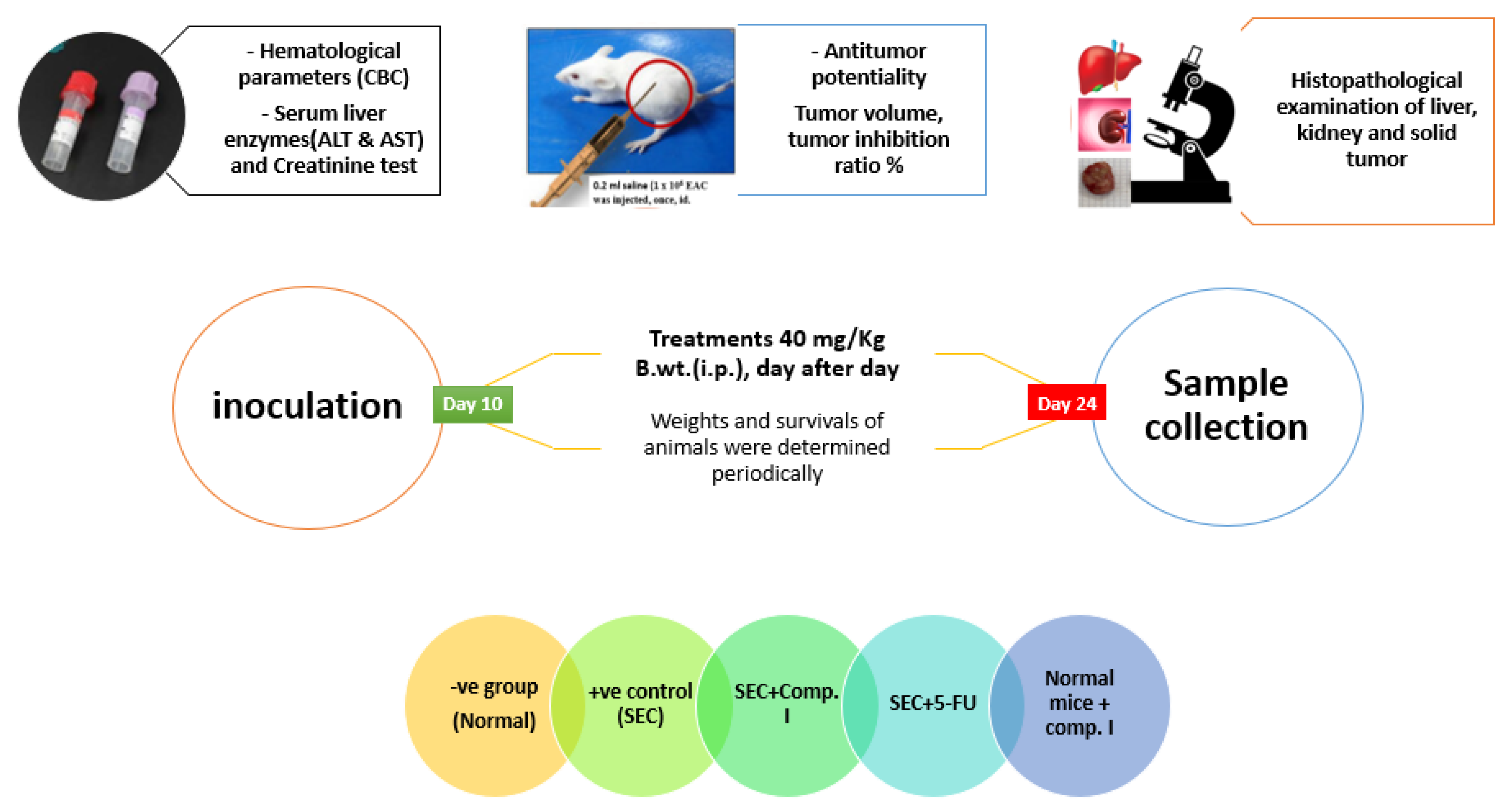 Pharmaceuticals 16 01524 g008